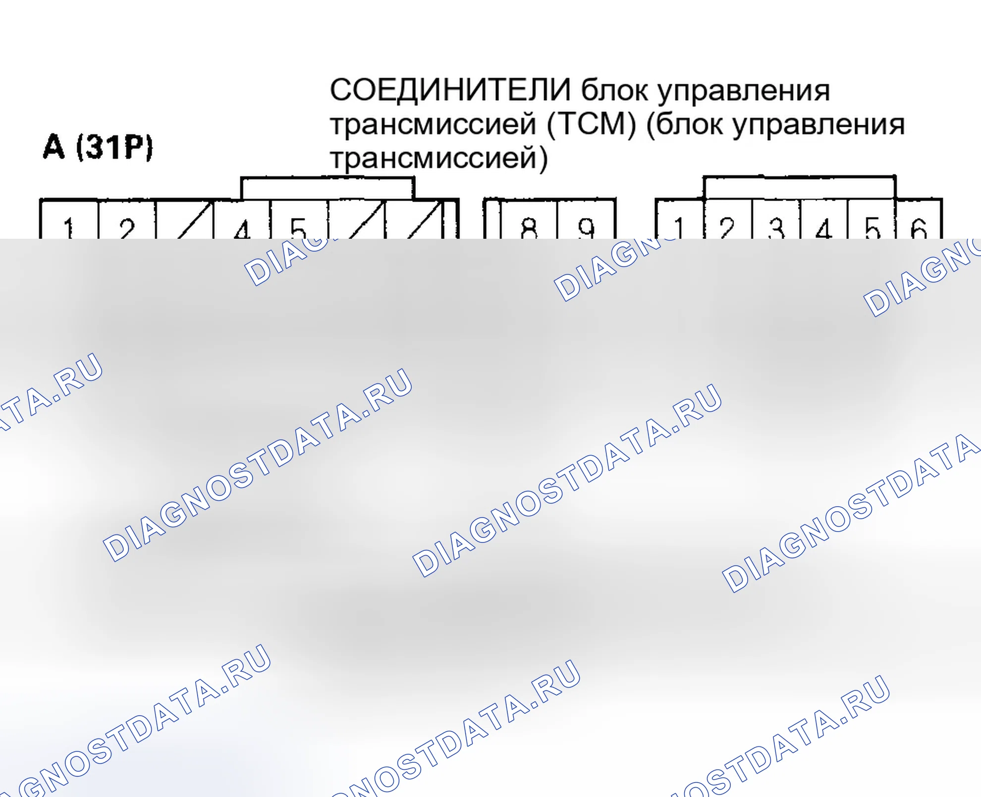 Рис. 1080. Honda Civic VII рестайлинг