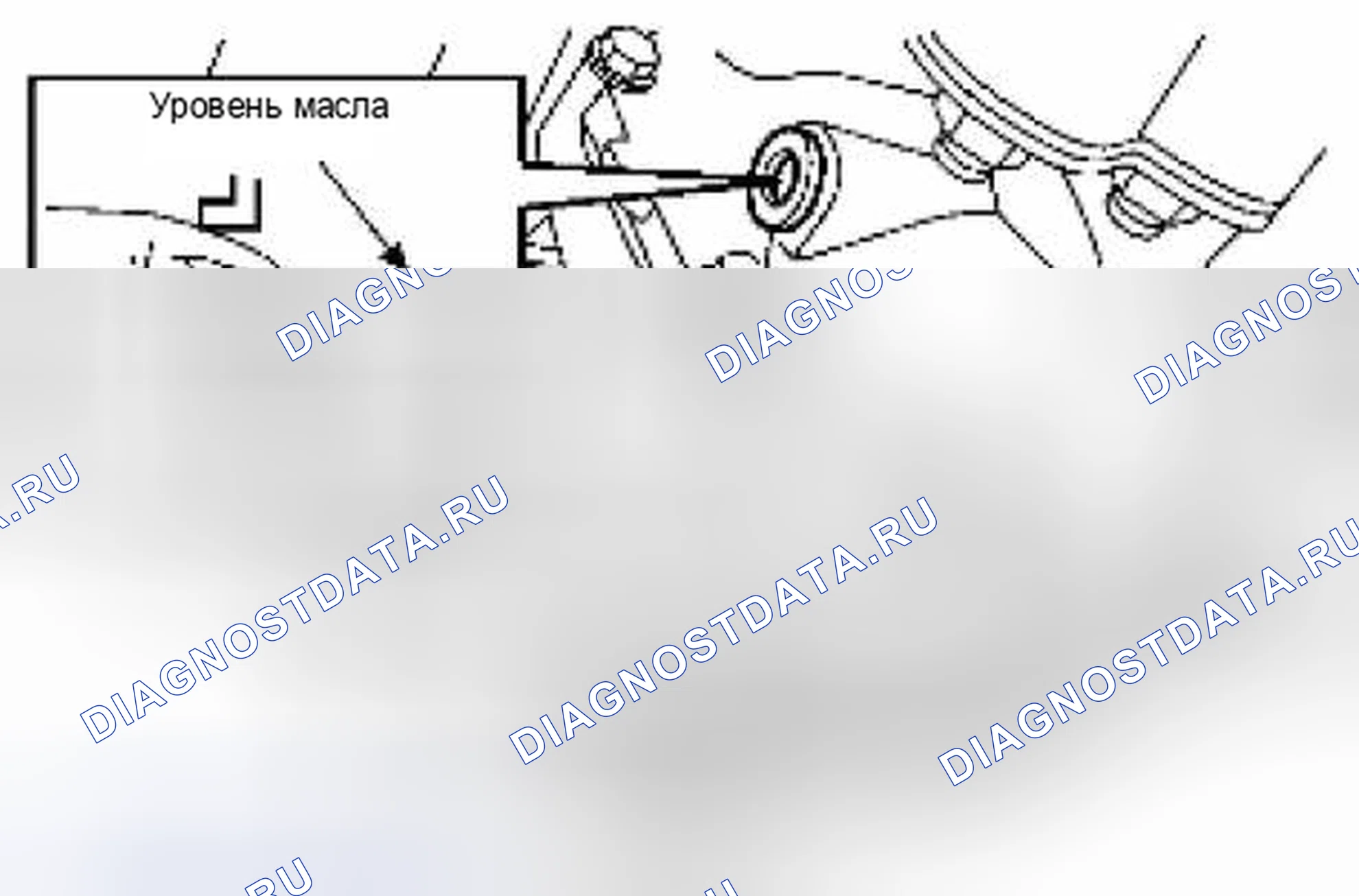 Рис. 32: ЗАПОЛНЕНИЕ. Suzuki Equator I