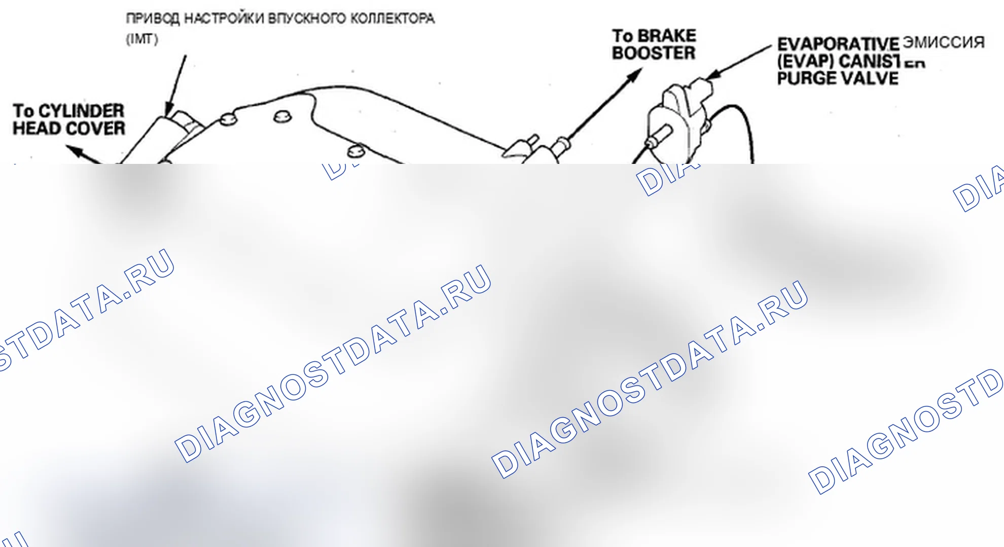 Рис. 210: Трассировка вакуумного шланга. Acura MDX II рестайлинг