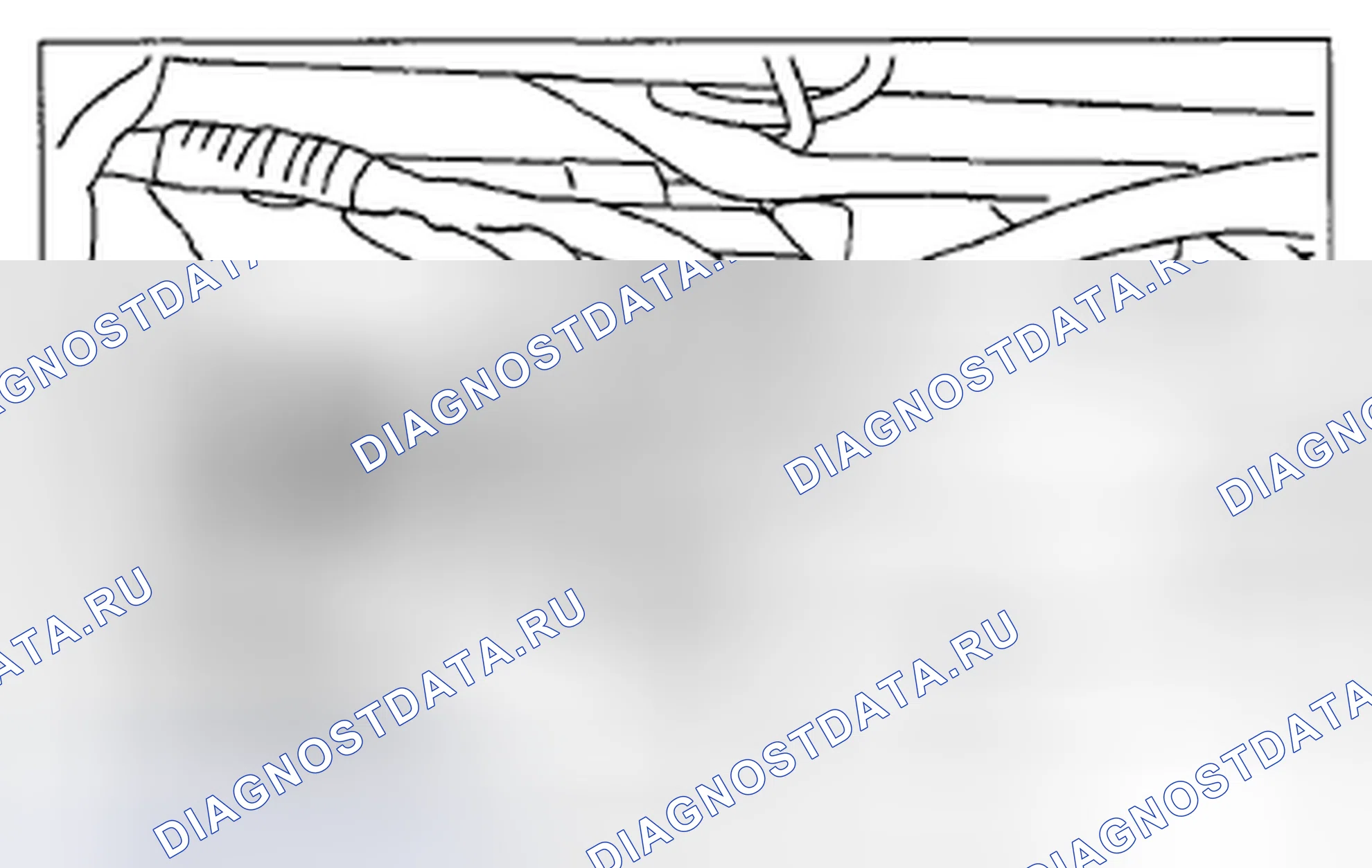 Рис. 496. Subaru Impreza WRX GE рестайлинг