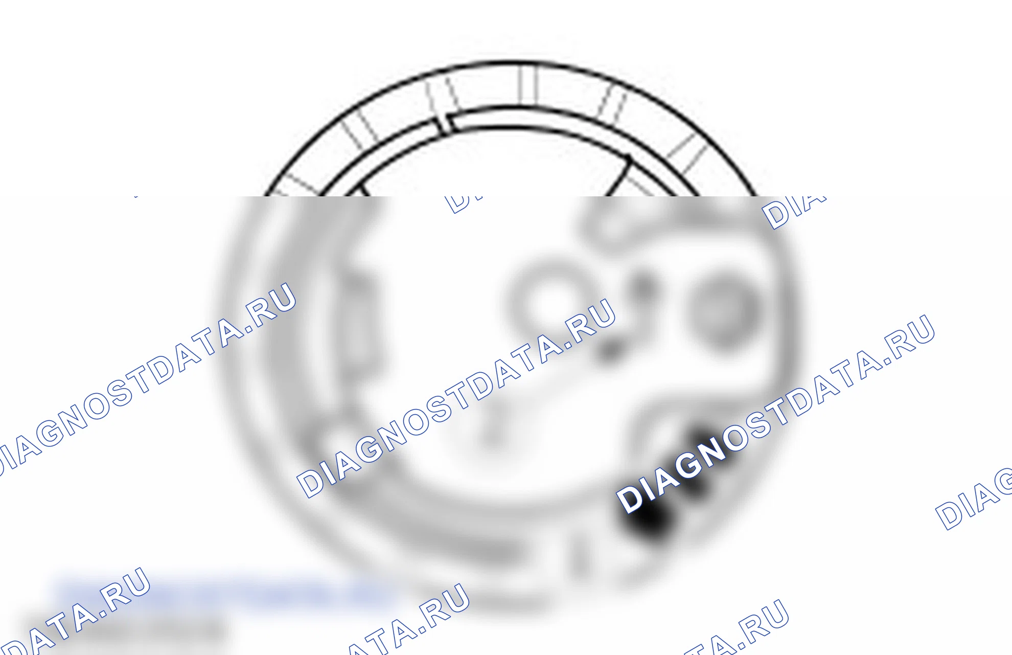 Сборка двигателя. Ford Transit Connect I