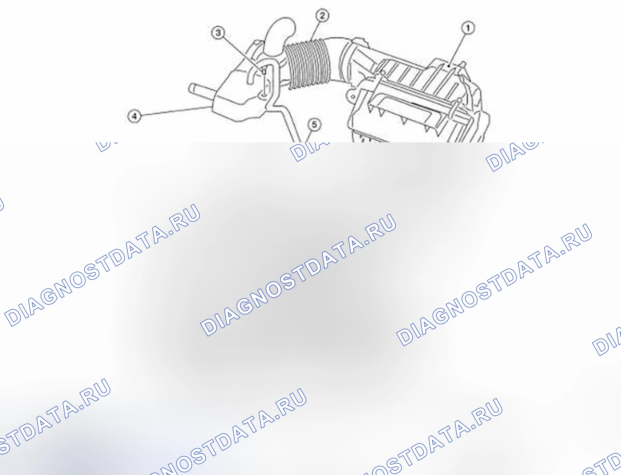 Рис. 15: Идентификация компонентов шланга воздушного суфлера. Nissan Sentra B16