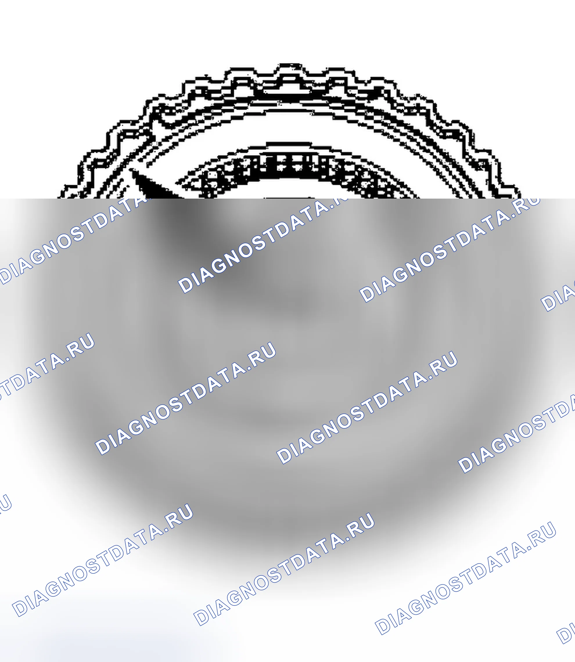 Рис. 264. Ford Crown Victoria II