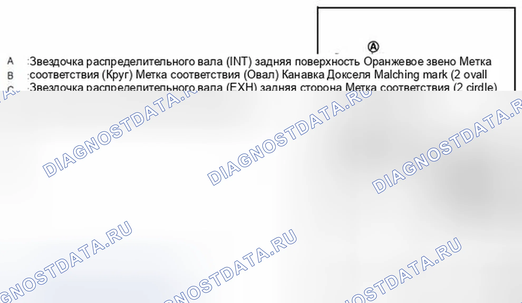 Рис. 176. Infiniti EX35 I