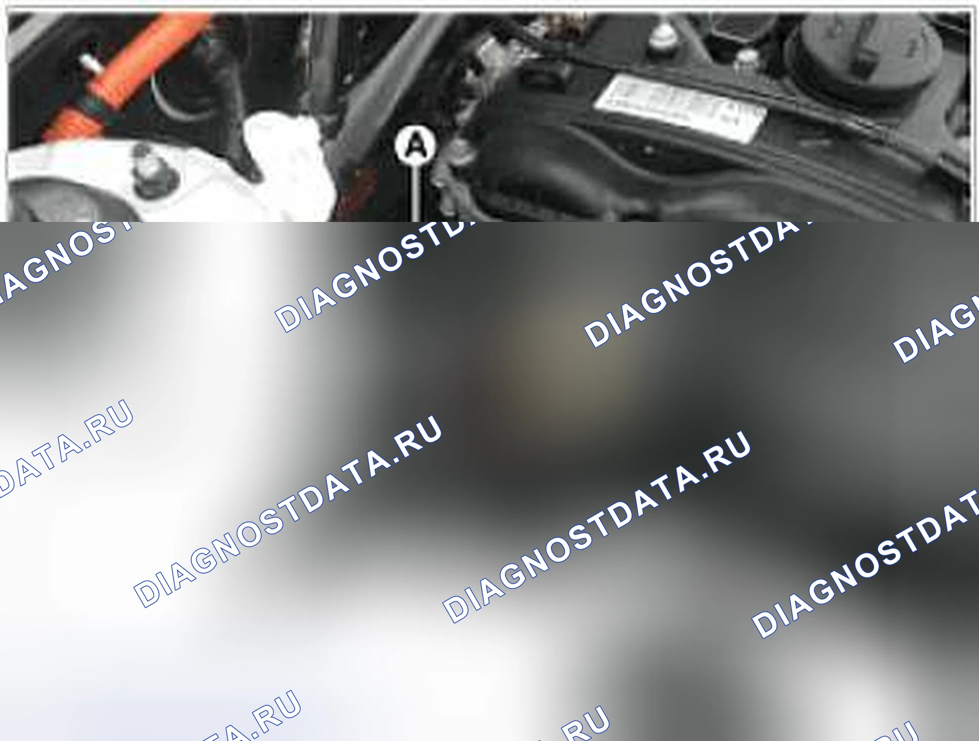 Рис. 18: Силовое реле (тип D). Kia Optima III рестайлинг