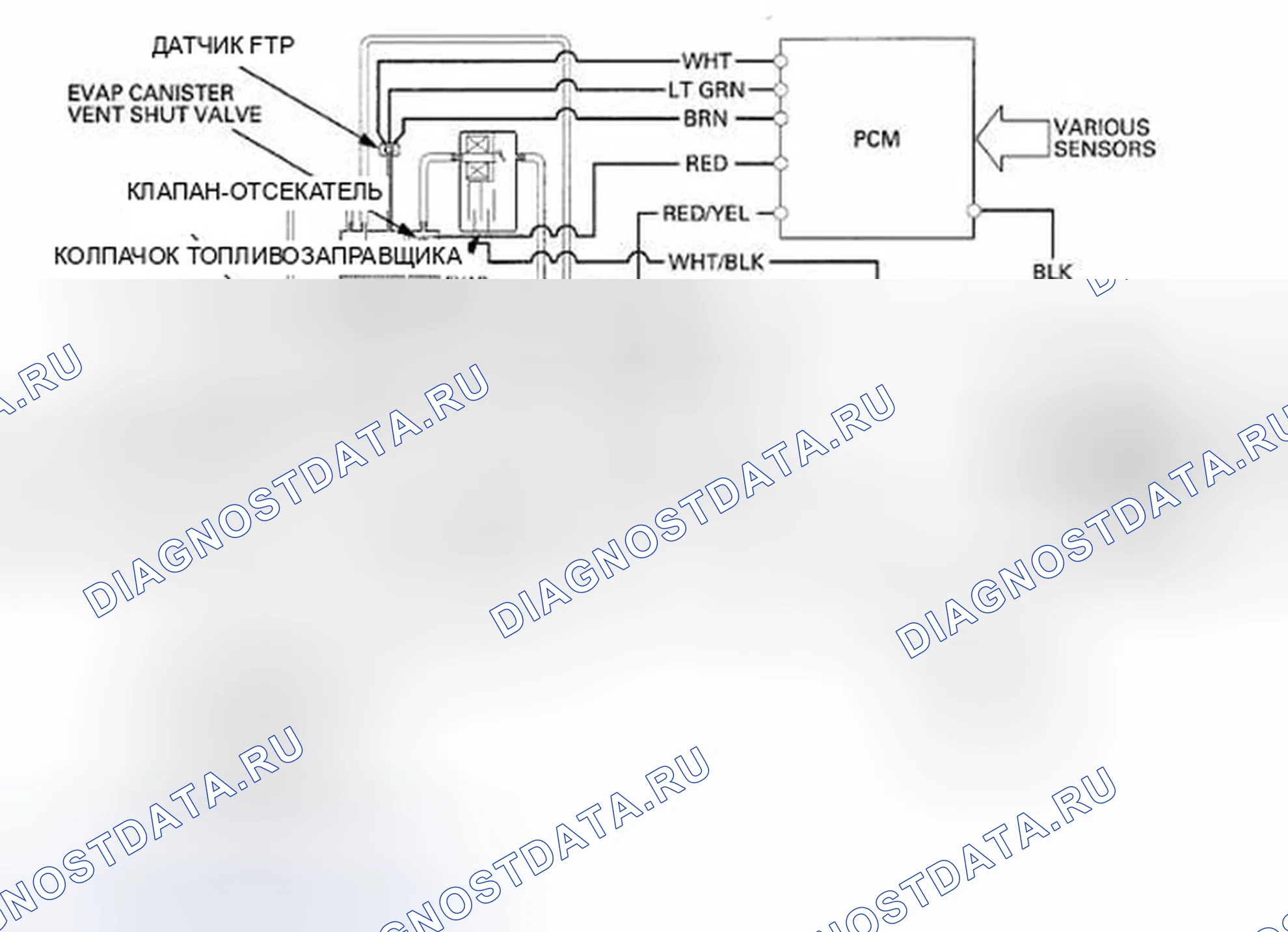 Рис. 465: Схема регулирования выбросов в результате испарения (EVAP). Honda Odyssey IV
