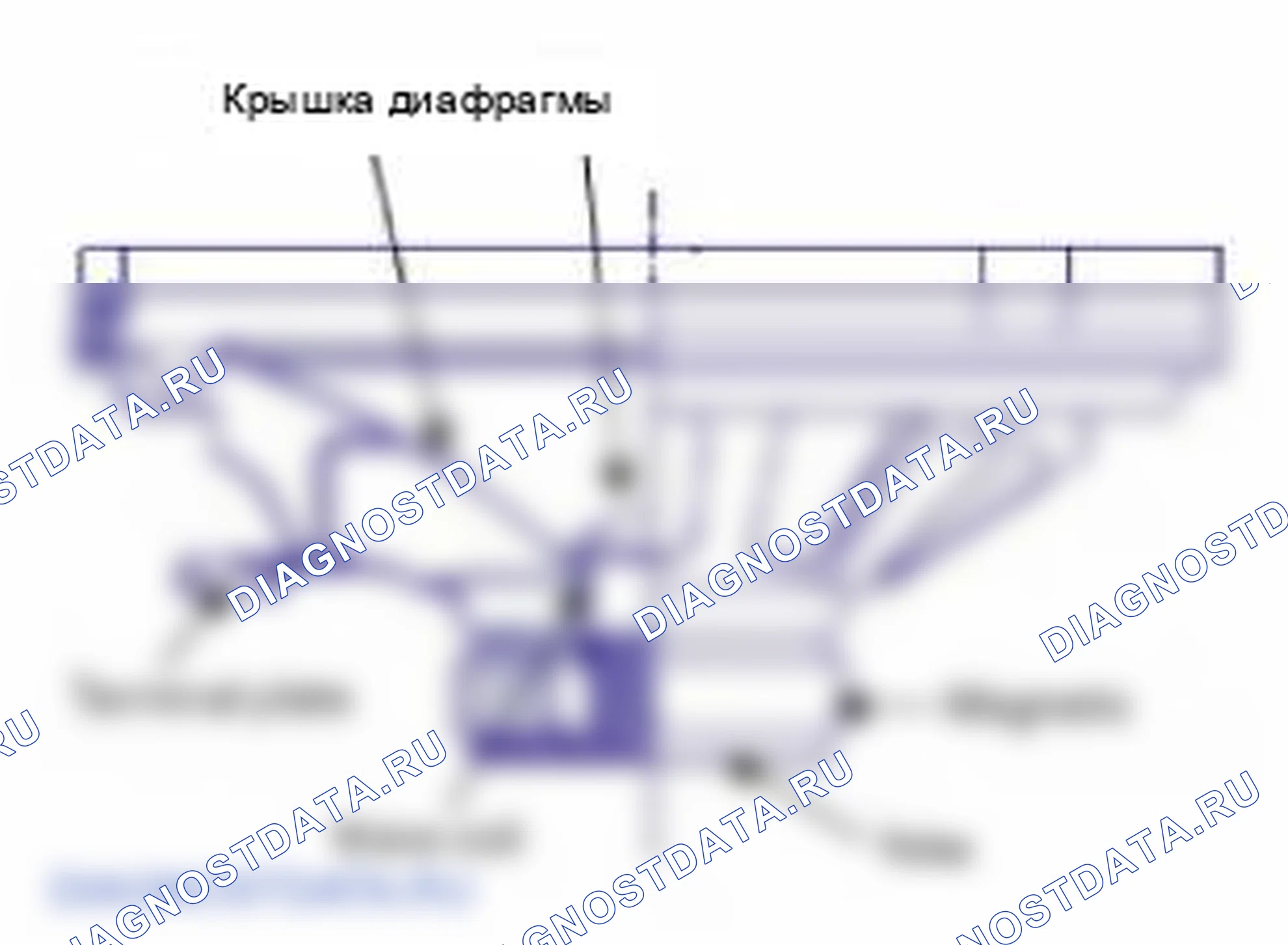 Рис. 101. Hyundai Sonata VI