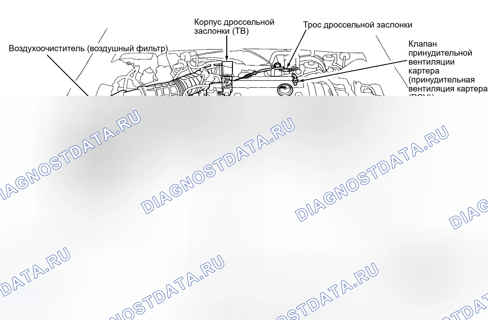 Рис. 28. Honda Prelude V