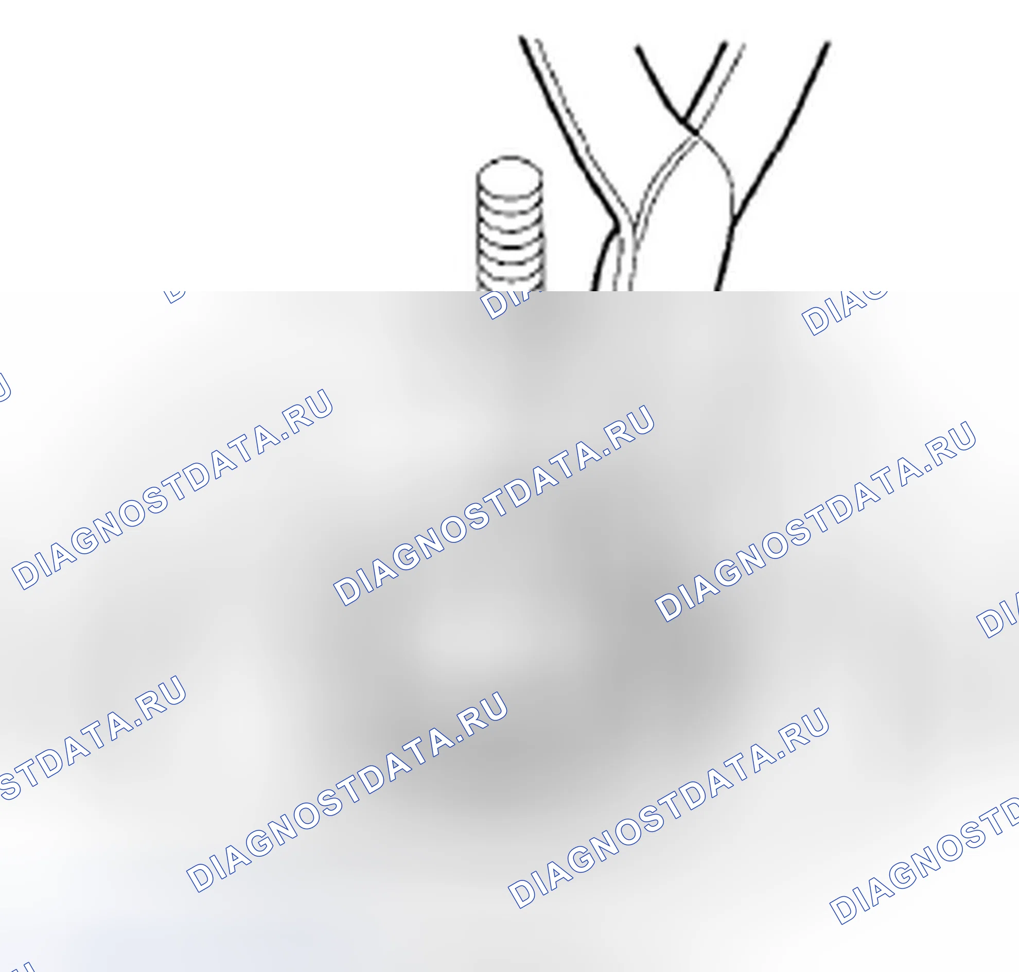 Рис. 690. Honda Civic VIII