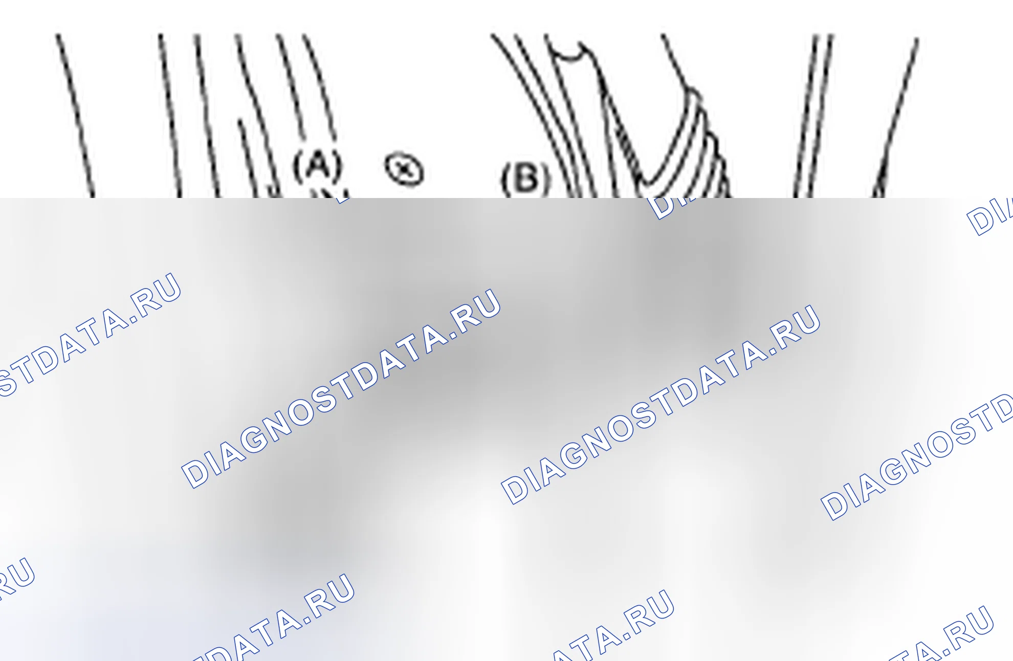 Рис. 13. Subaru Outback BR