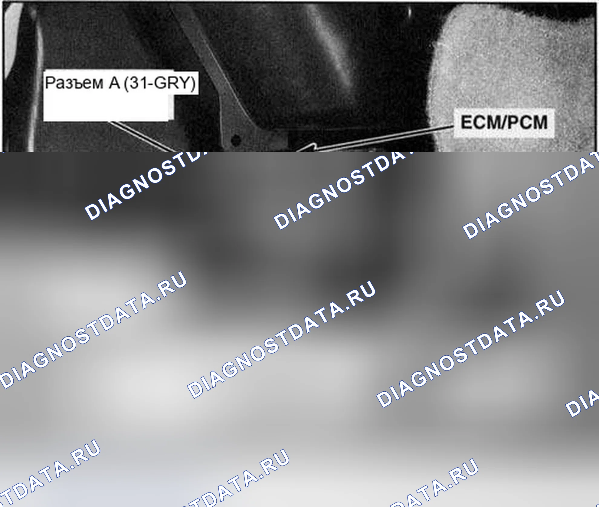 Рис. 259. Honda Accord VII рестайлинг