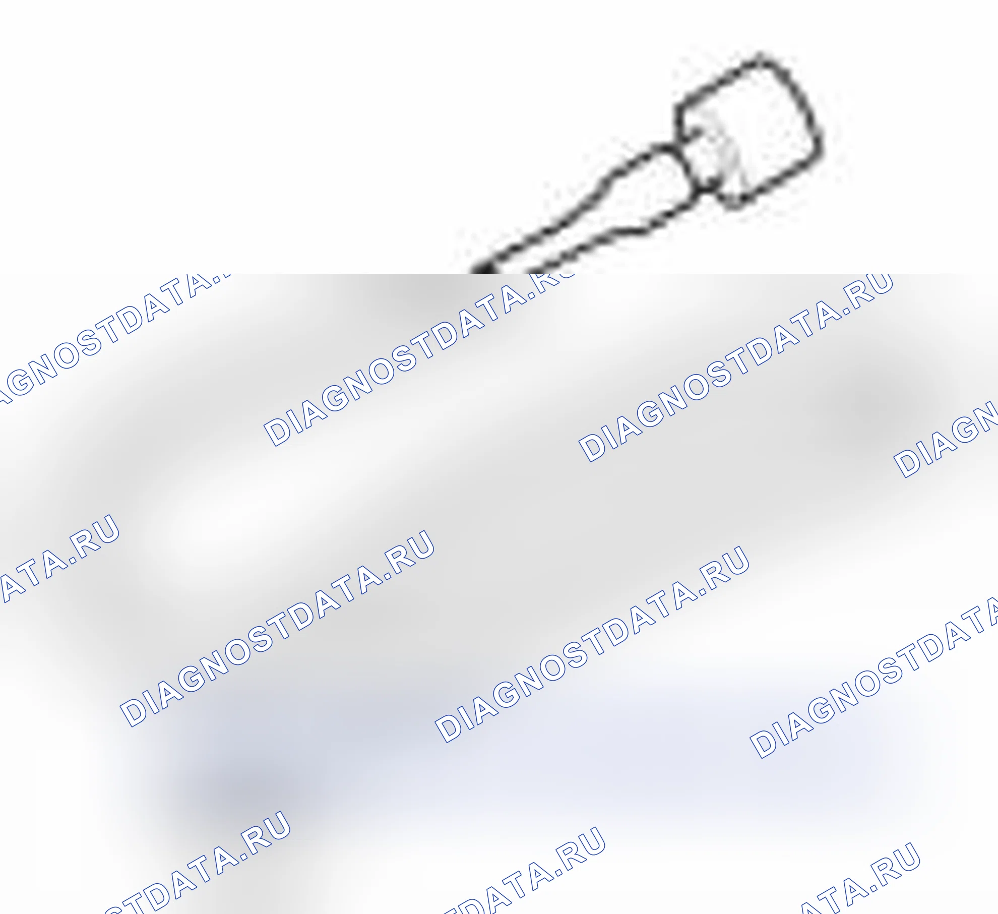 Рис. 67. Kia Forte I