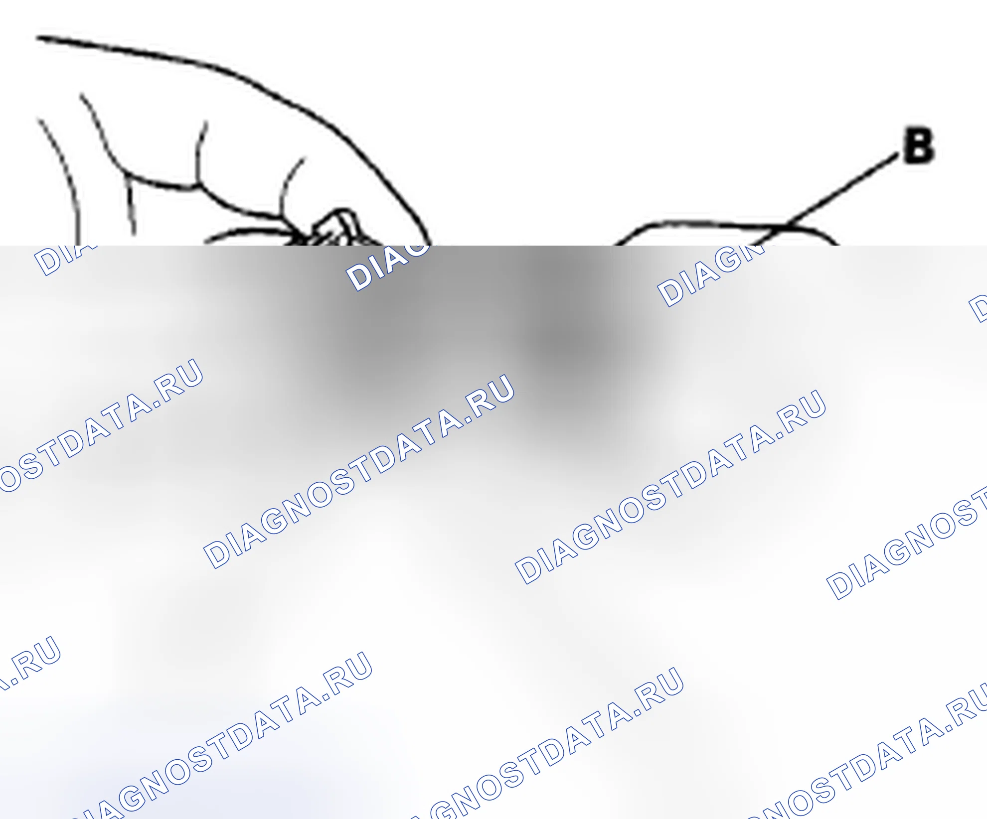 Рис. 267: Разъединение. Acura CSX I