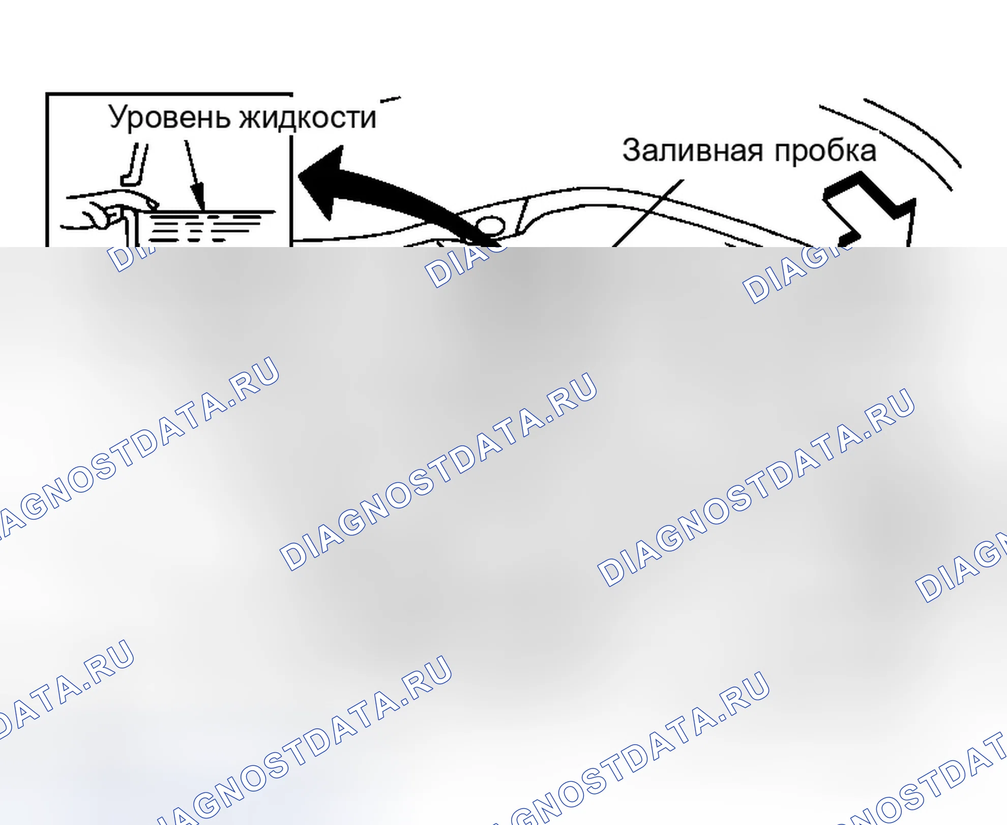 Рис. 10: ЗАПОЛНЕНИЕ. Infiniti G35 III