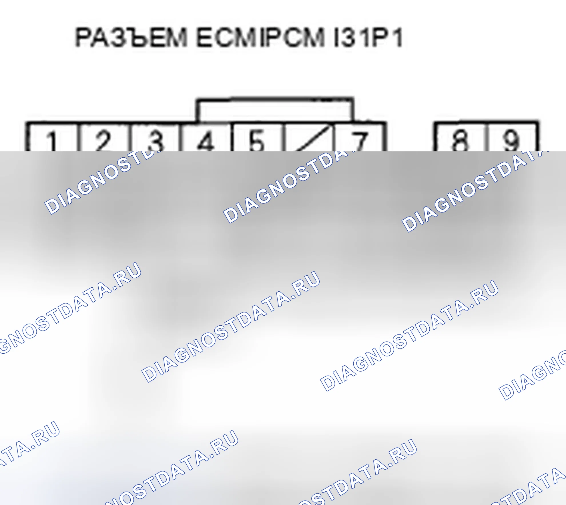 Рис. 517. Honda Element YH2 рестайлинг 2