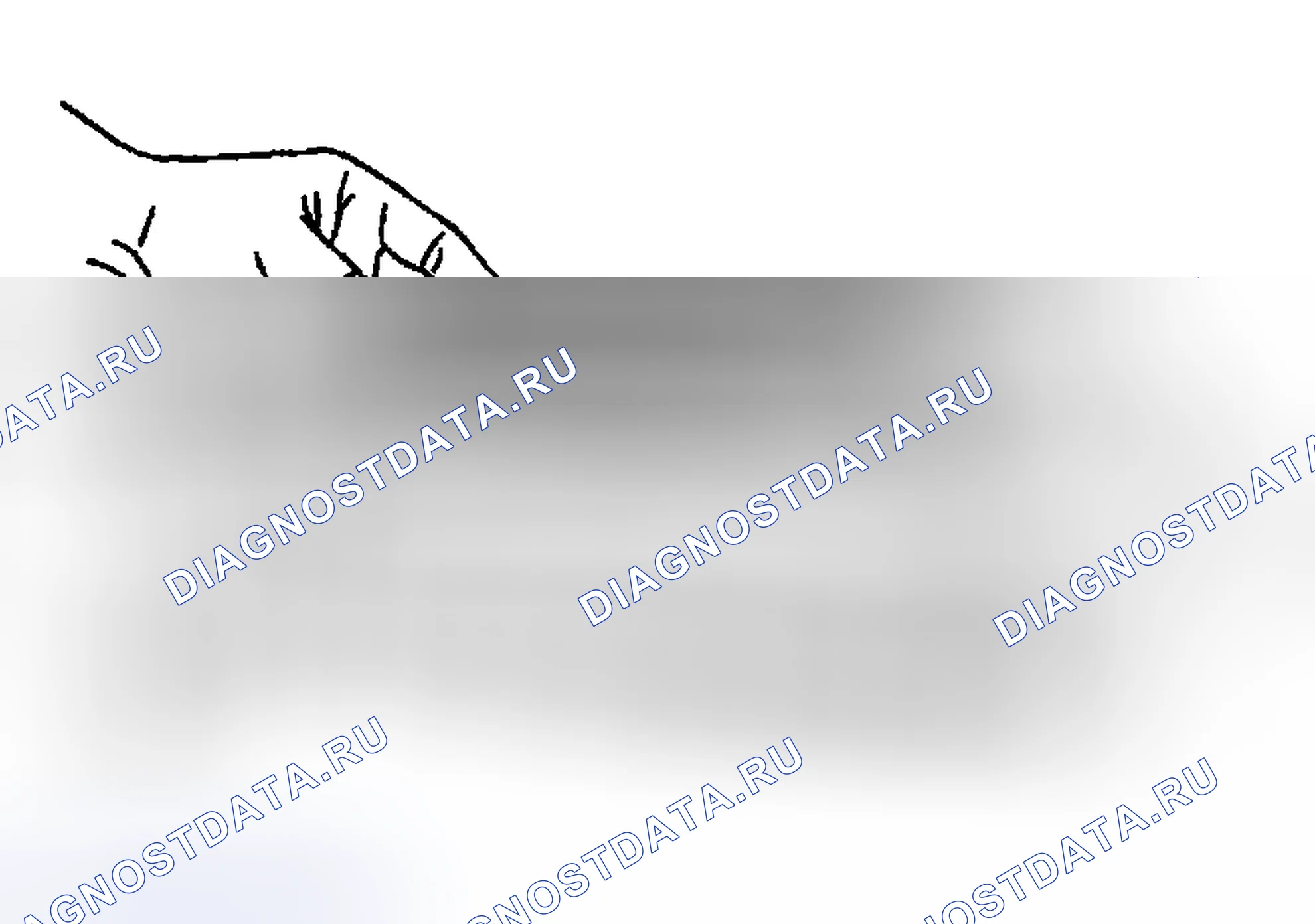 Рис. 225. Hyundai Venue I