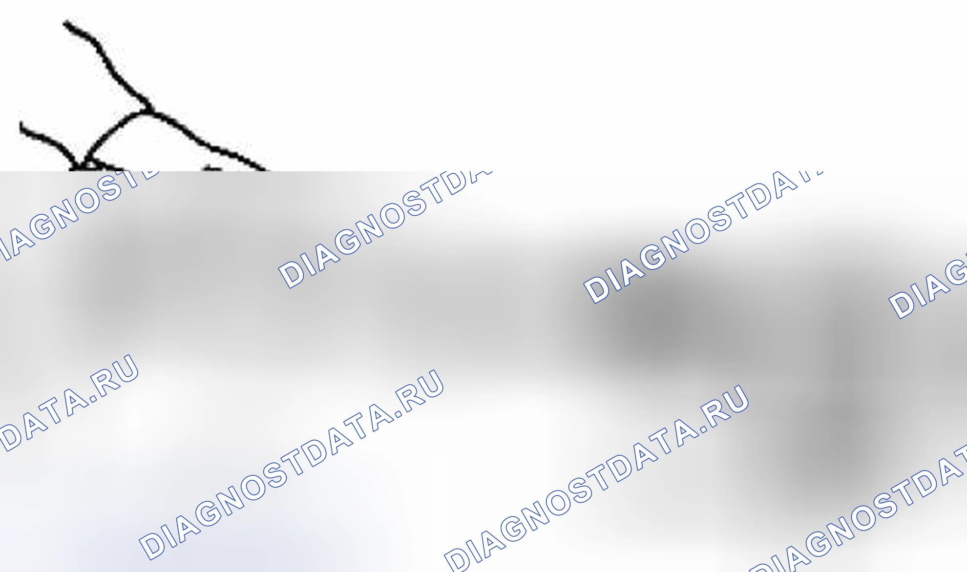 Рис. 14: Сторона колеса. Suzuki Equator I