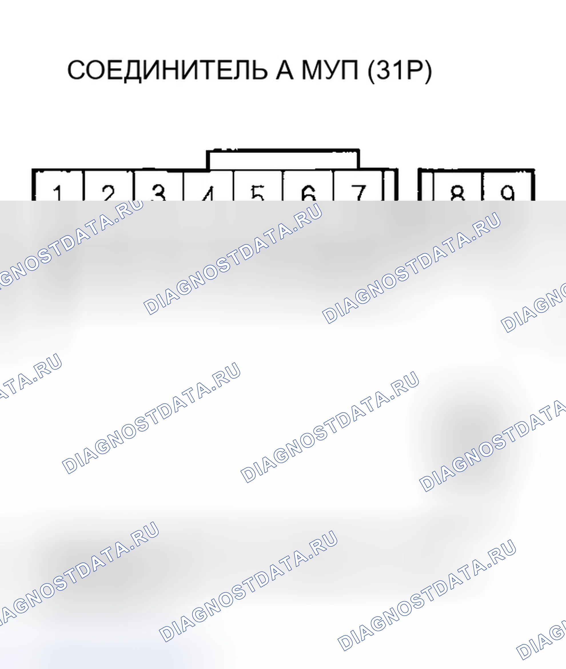 Рис. 519. Honda Accord VII рестайлинг