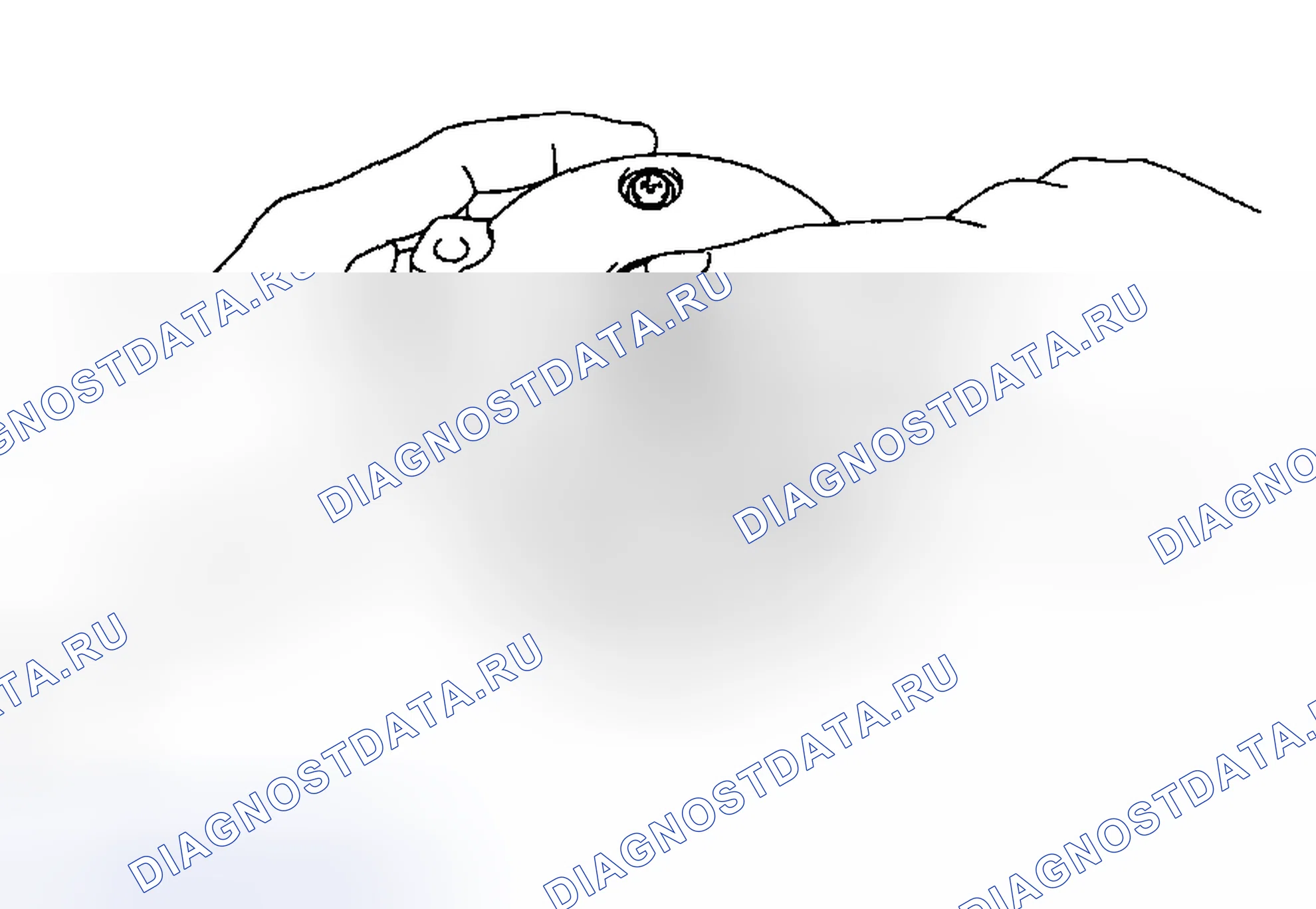 Рис. 48. Toyota Corolla IX рестайлинг