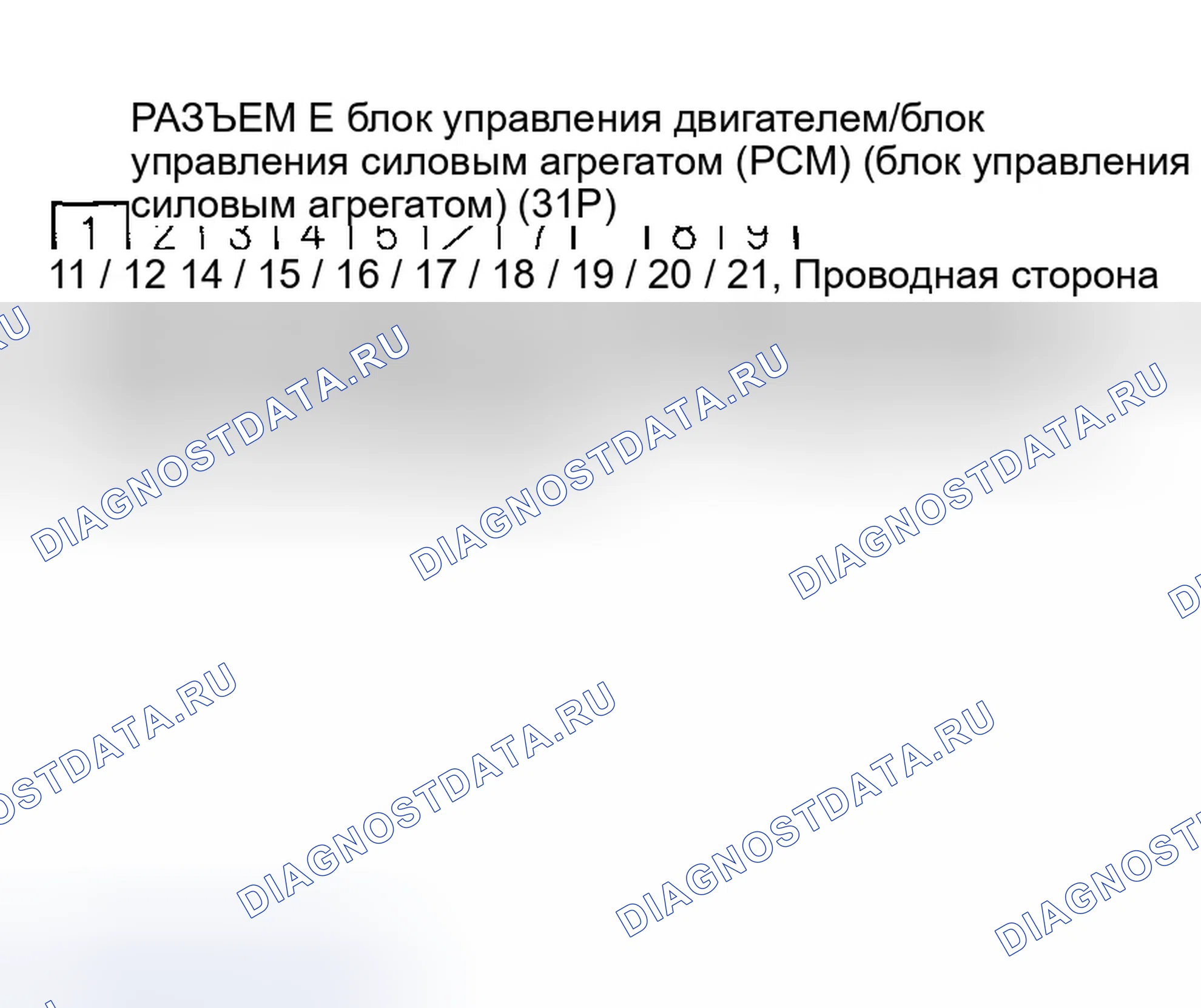 Рис. 12. Honda Accord VII рестайлинг