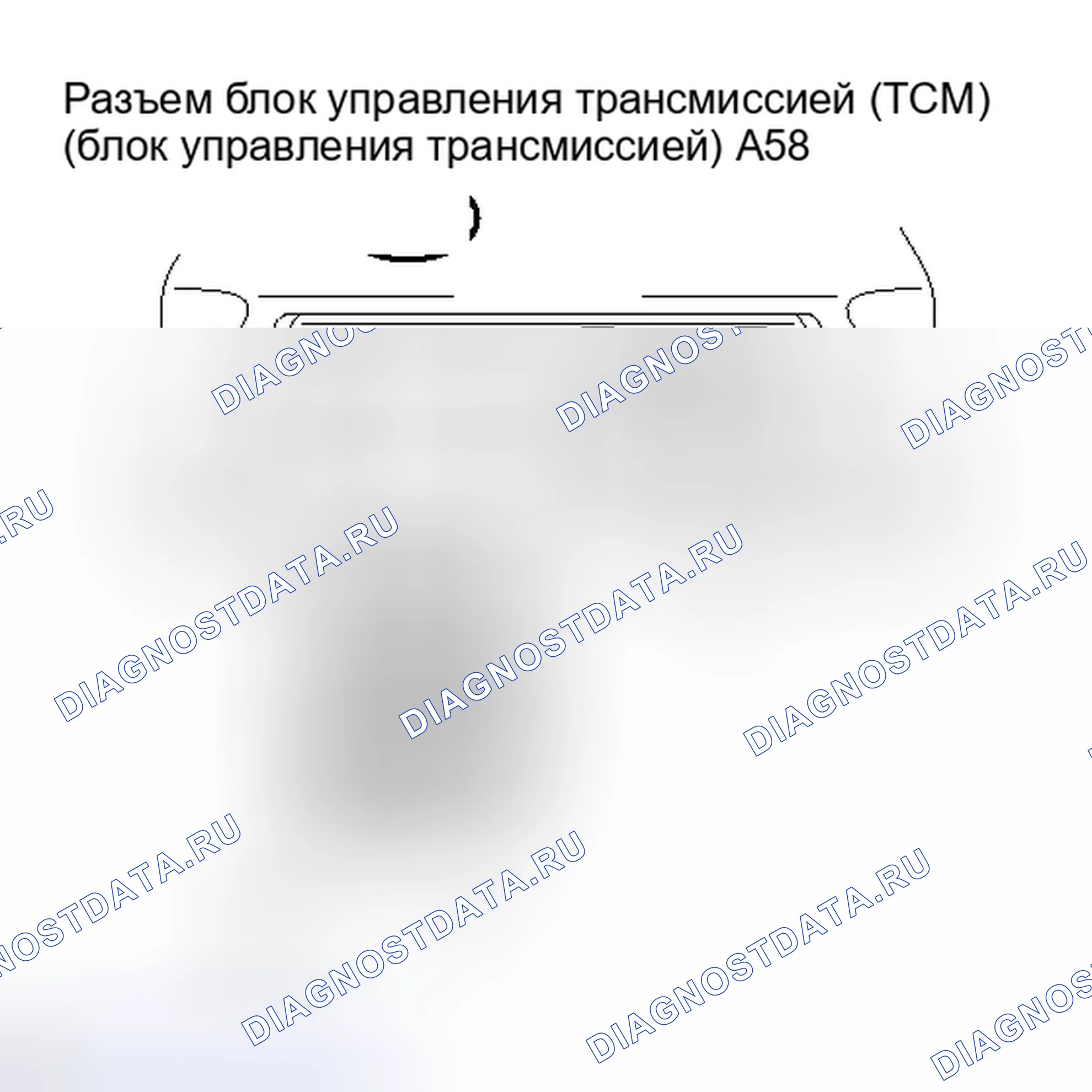 Рис. 383. Lexus IS F I