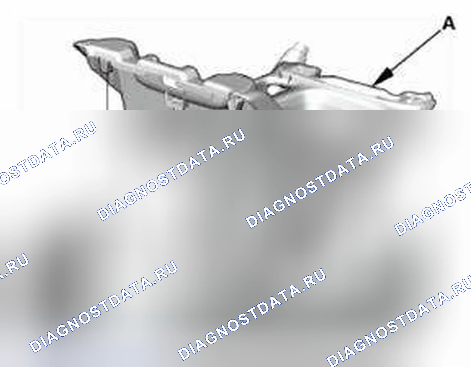 Рис. 434. Honda Civic IX