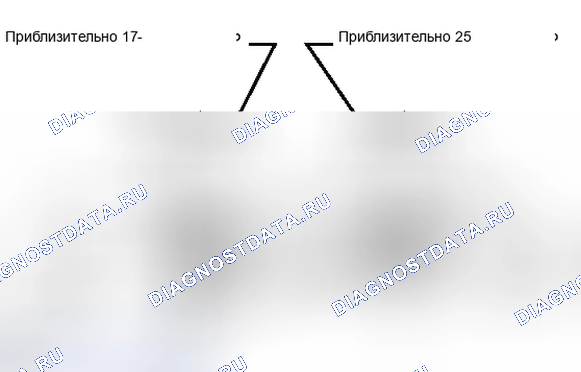 Рис. 468. Toyota RAV4 III рестайлинг