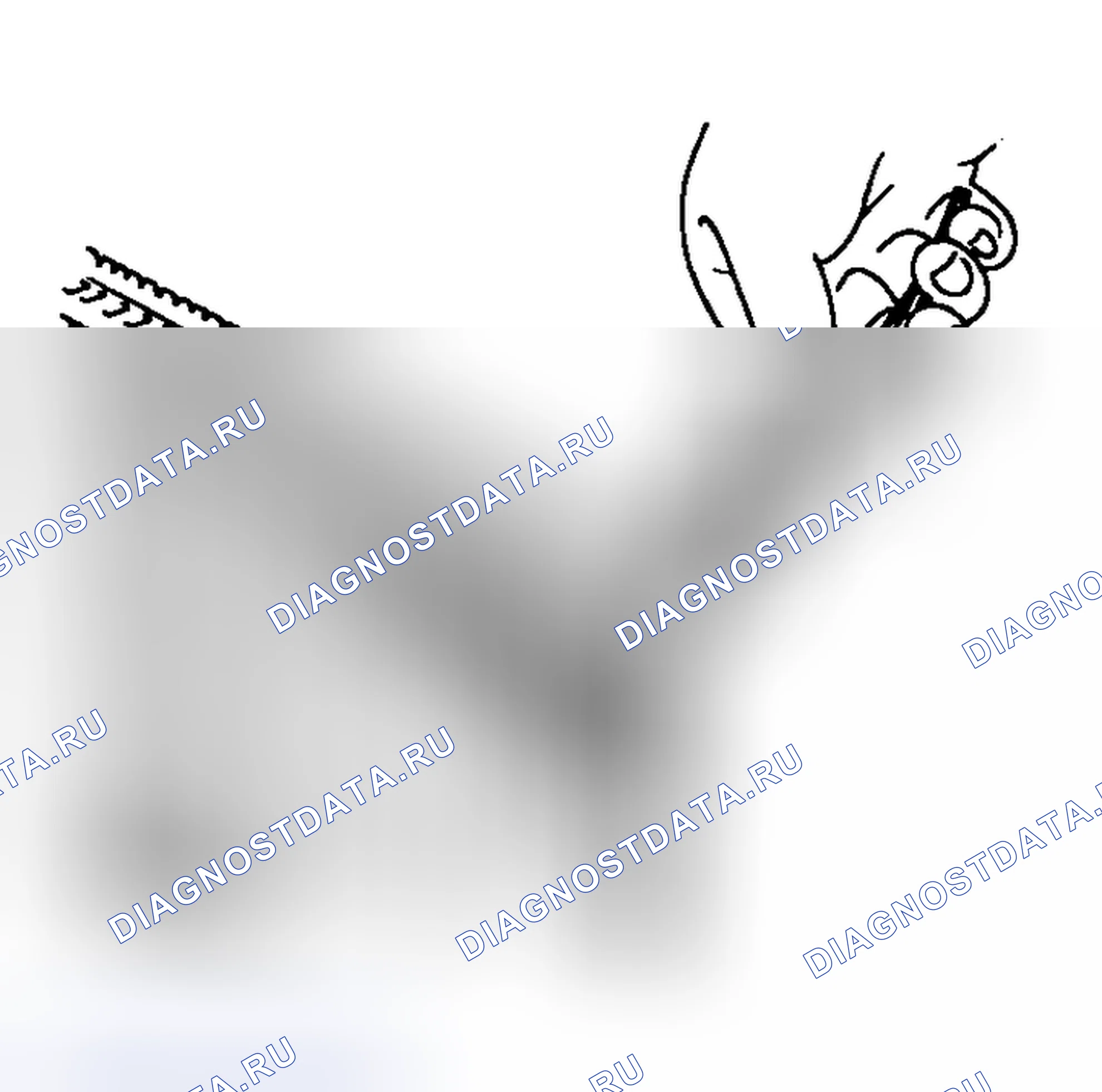 Рис. 13. Honda That S I