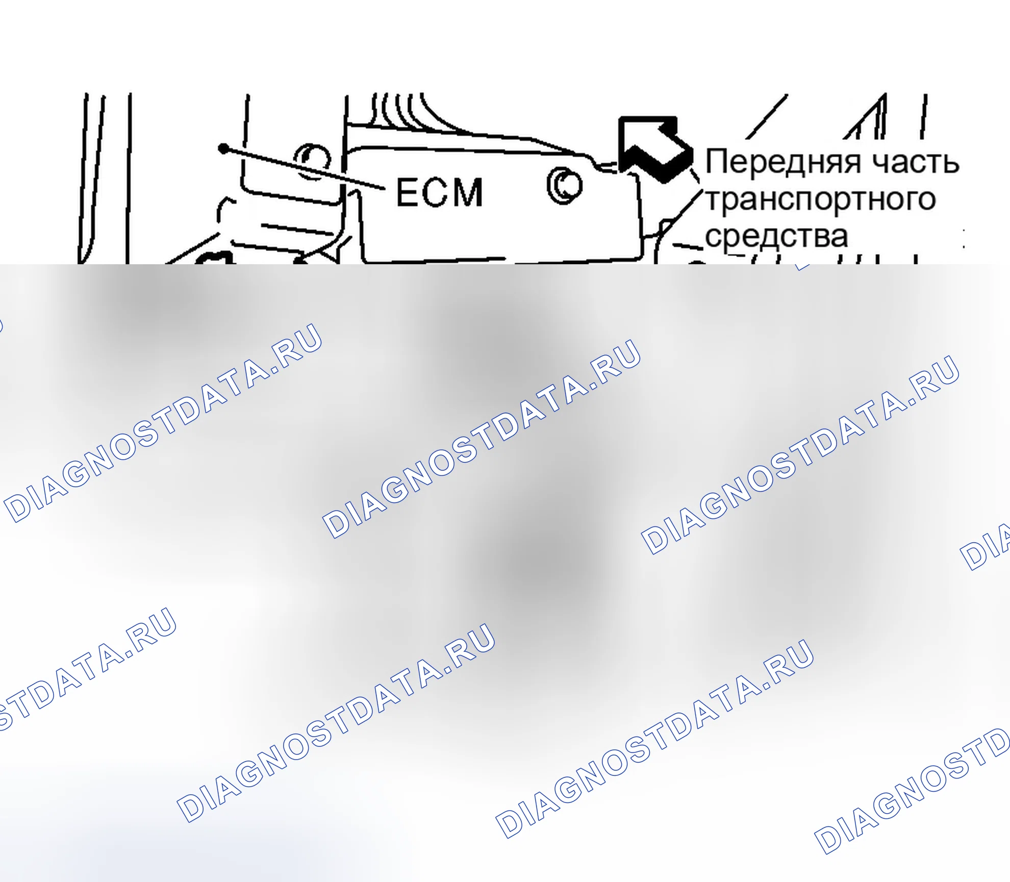 Рис. 695: Сторона пассажирского помещения. Infiniti G35 III