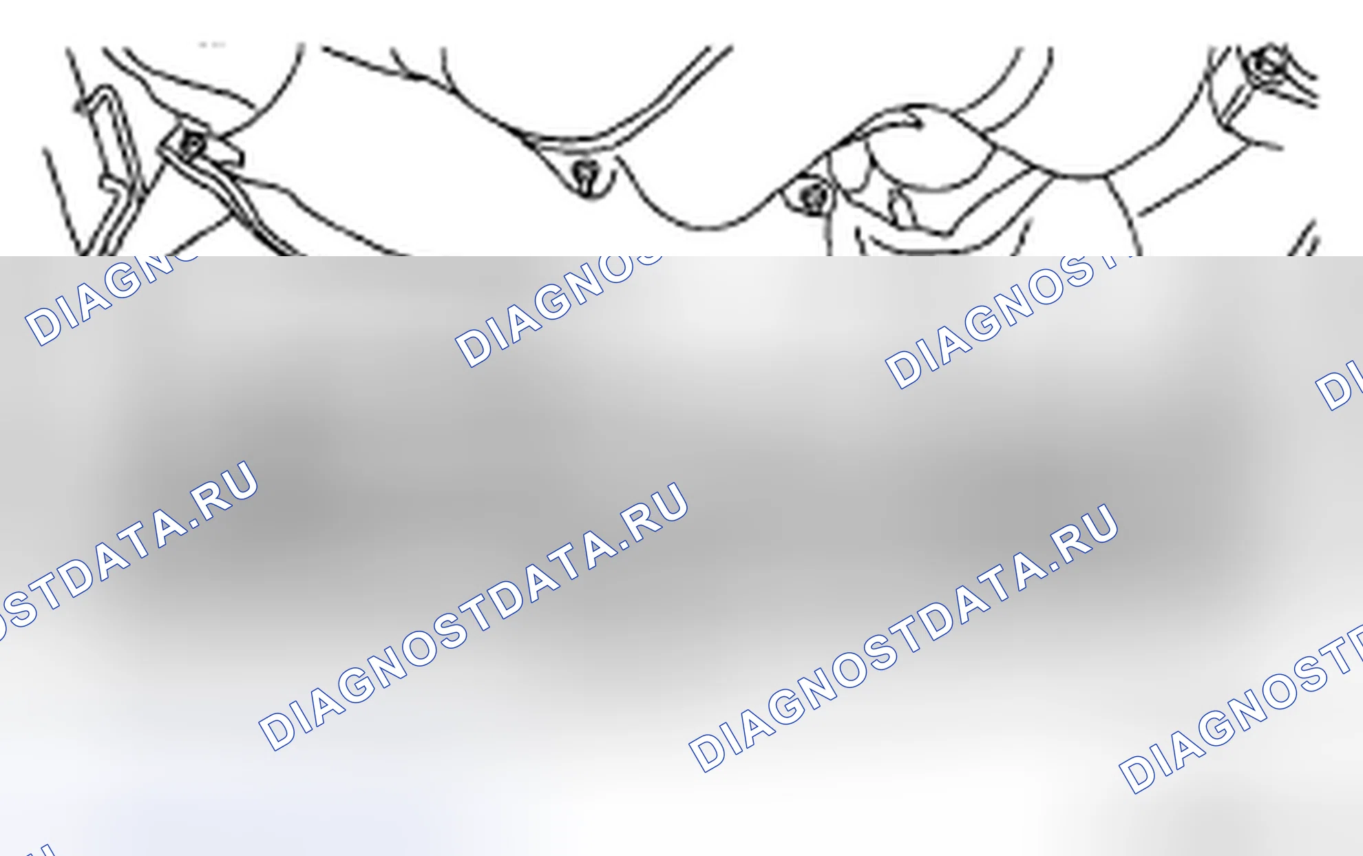 Рис. 210: ДЕМОНТАЖ. Subaru Outback BP рестайлинг
