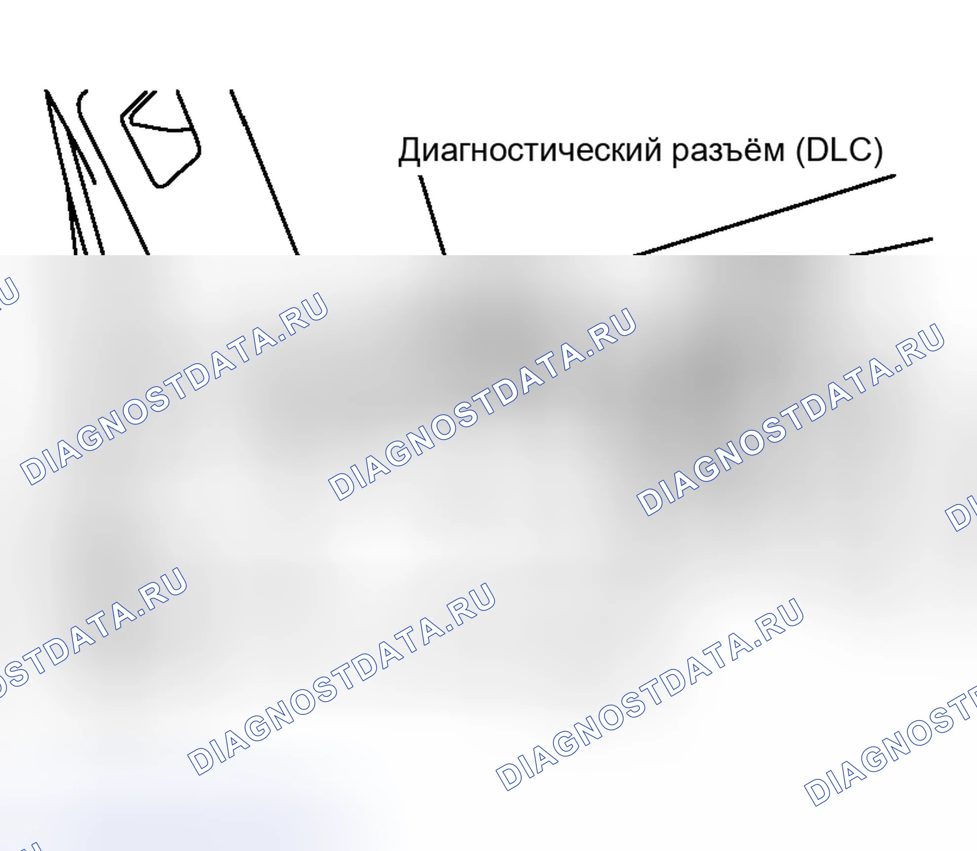 Рис. 6. Nissan Murano Z50