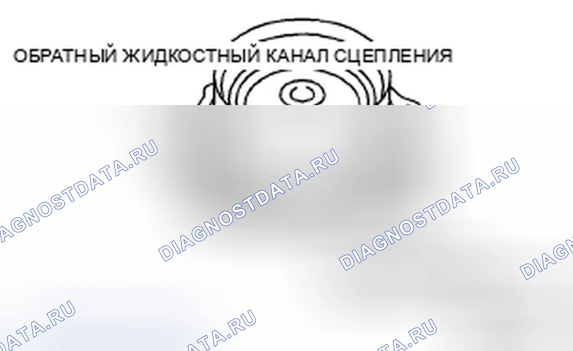 Рис. 6: Работа сцепления. Ford Fusion I рестайлинг