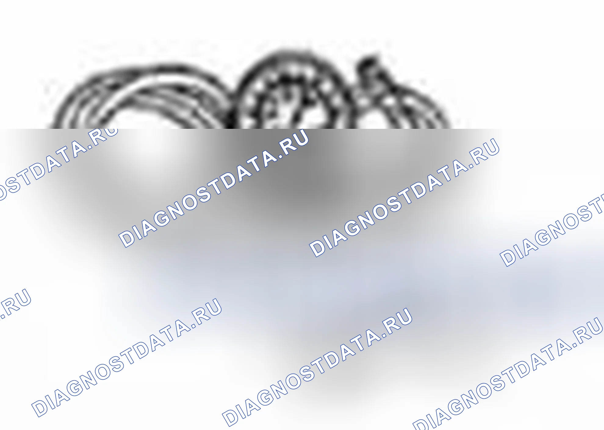 Рис. 16: Проверка давления в топливной системе. Ford C-MAX II