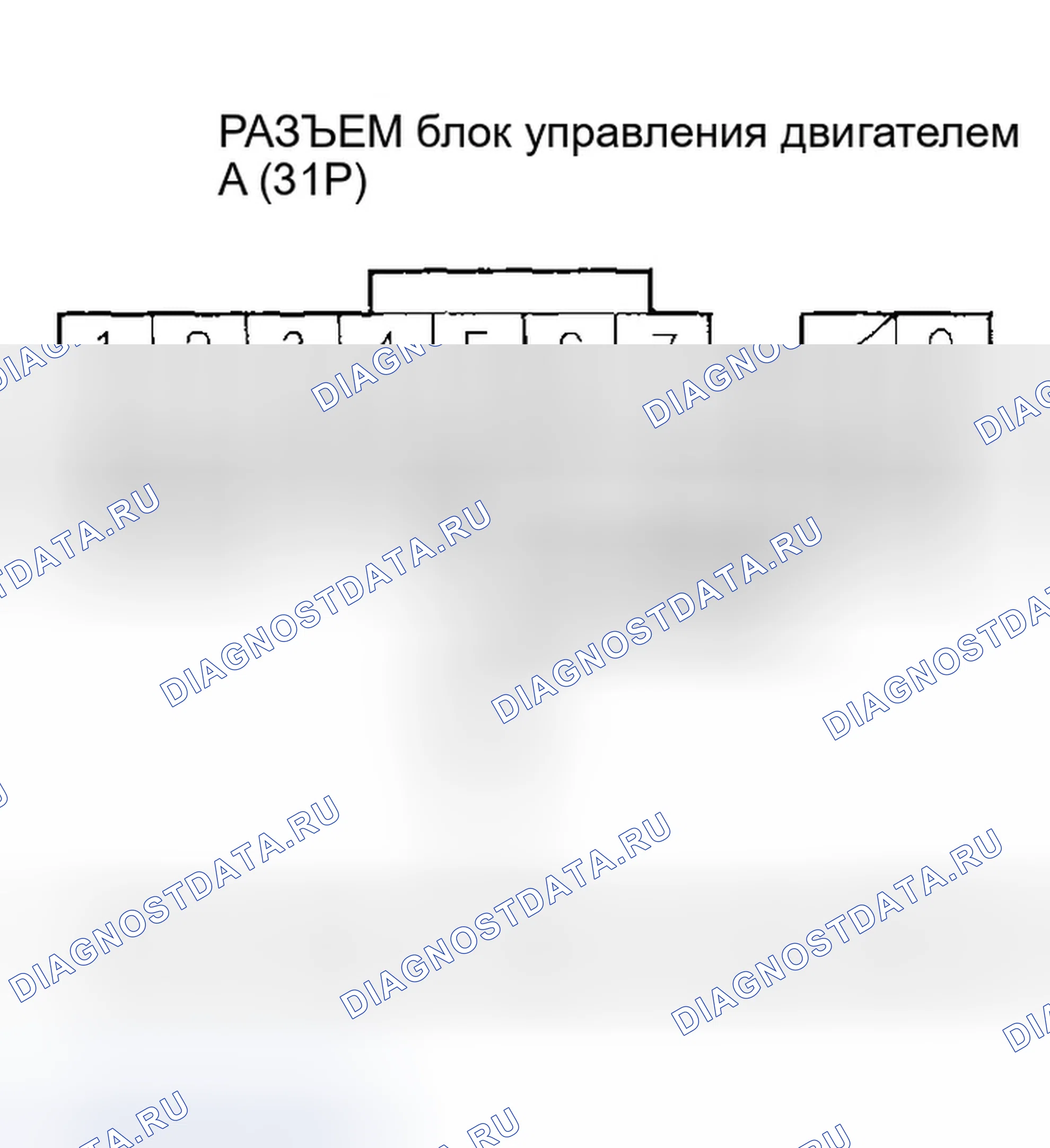 Рис. 578. Honda Civic VII рестайлинг