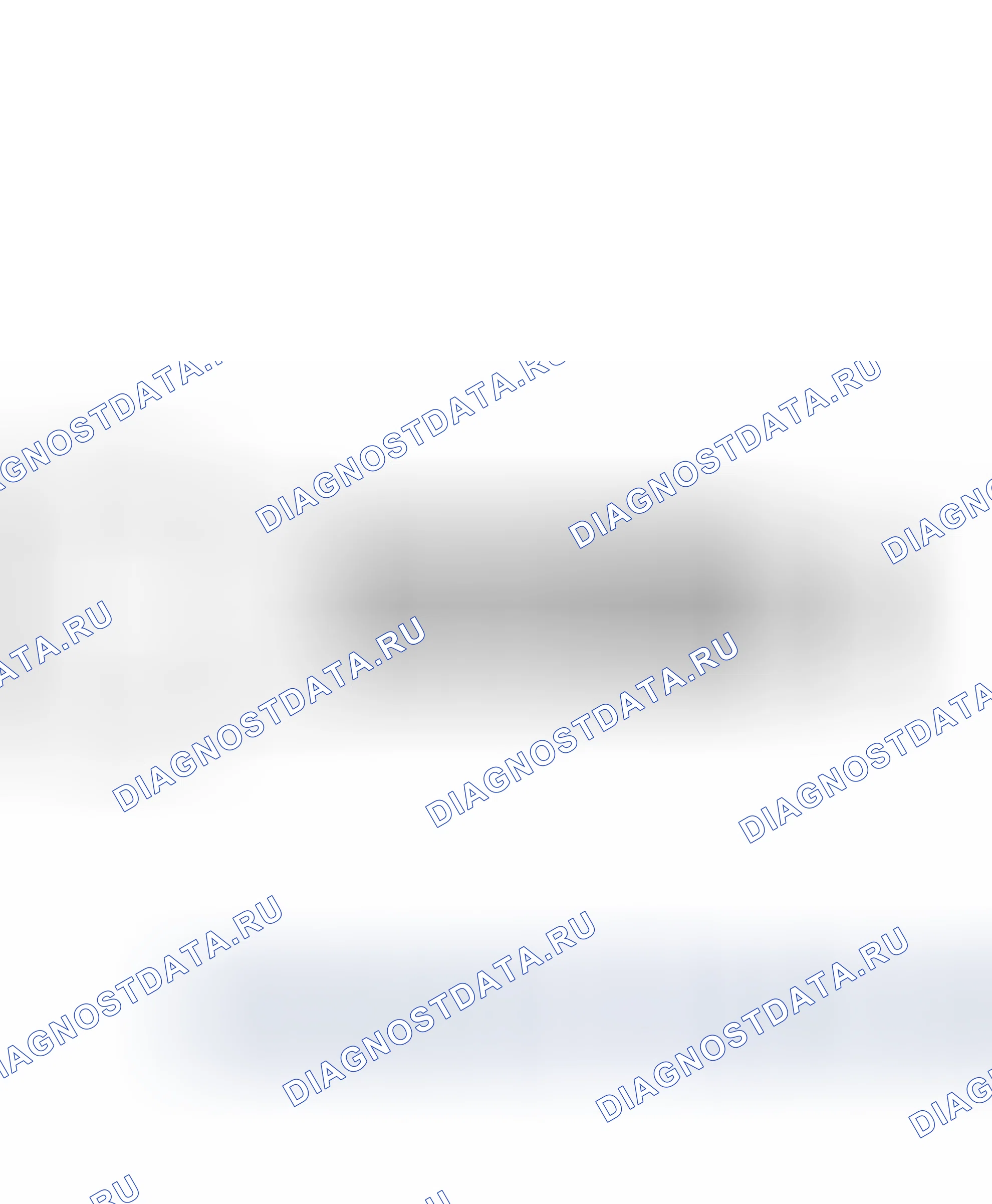 Общая информация. Hyundai Santafe Sport DMA