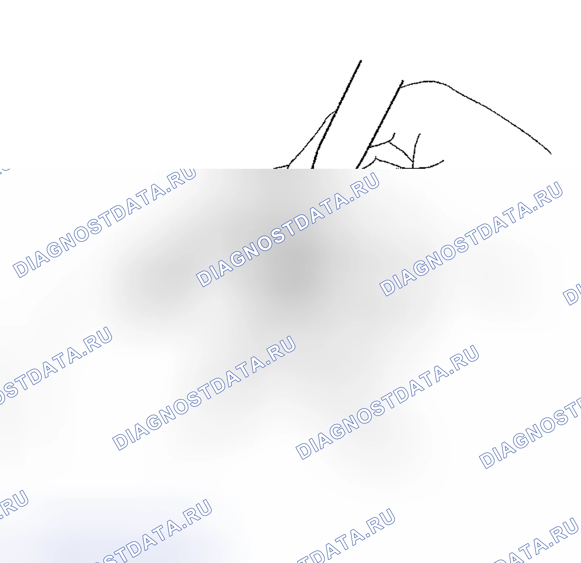 Рис. 297. Haval Xiaolong Max I