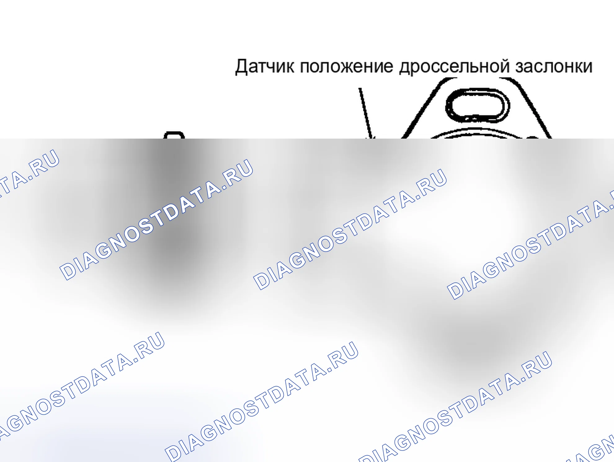Рис. 1. Kia Sephia I рестайлинг