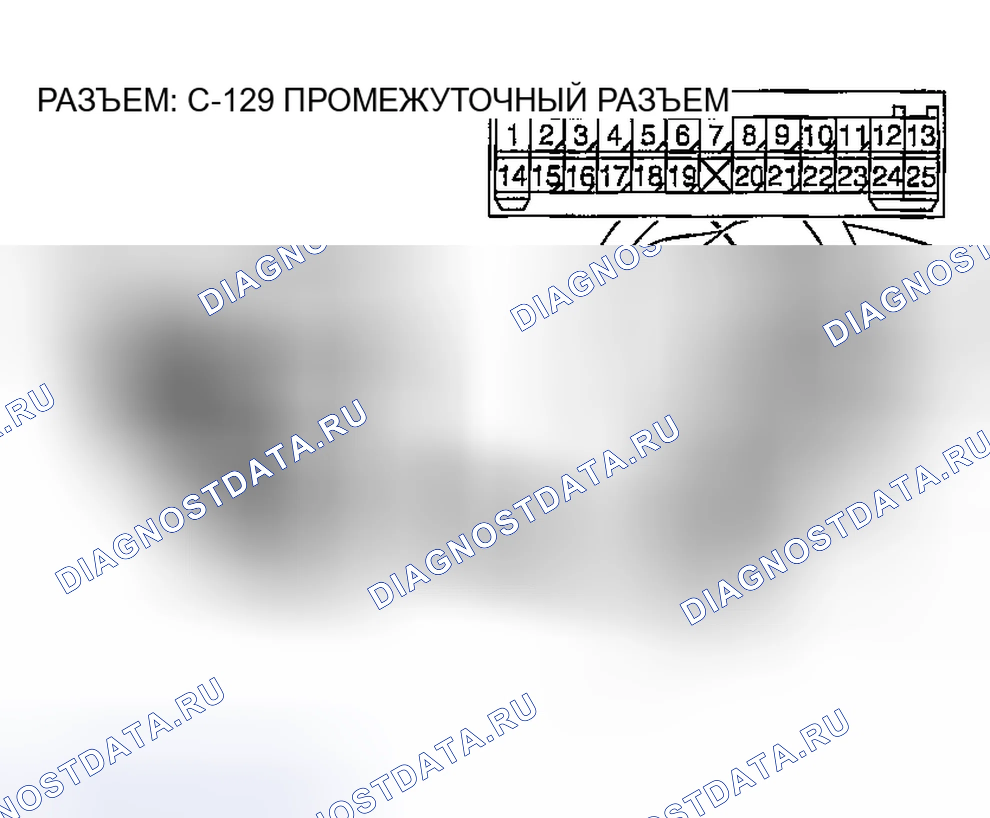 Рис. 250. Honda Edix I