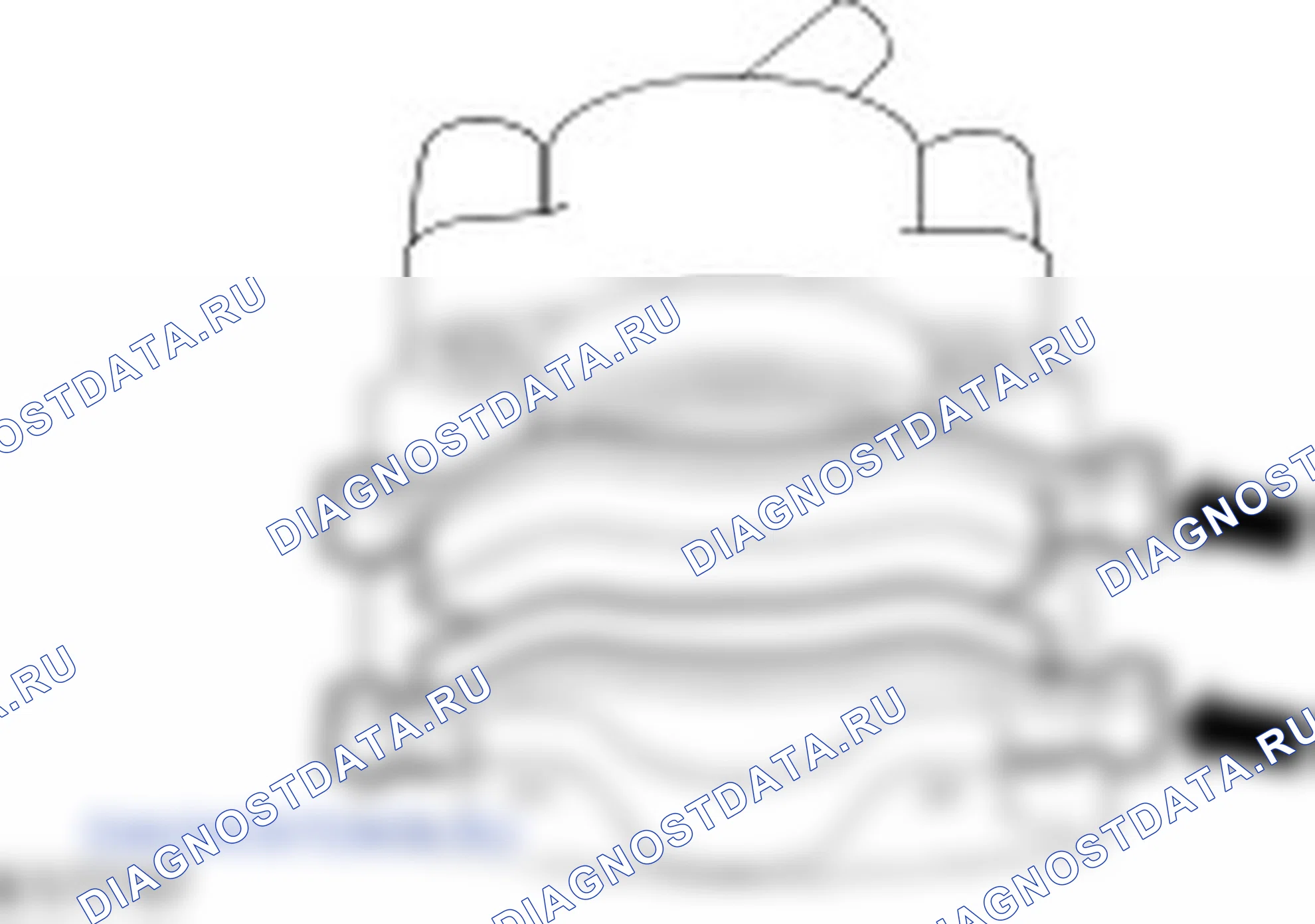 тормозной суппорт: описание и работа. Ford Ka I
