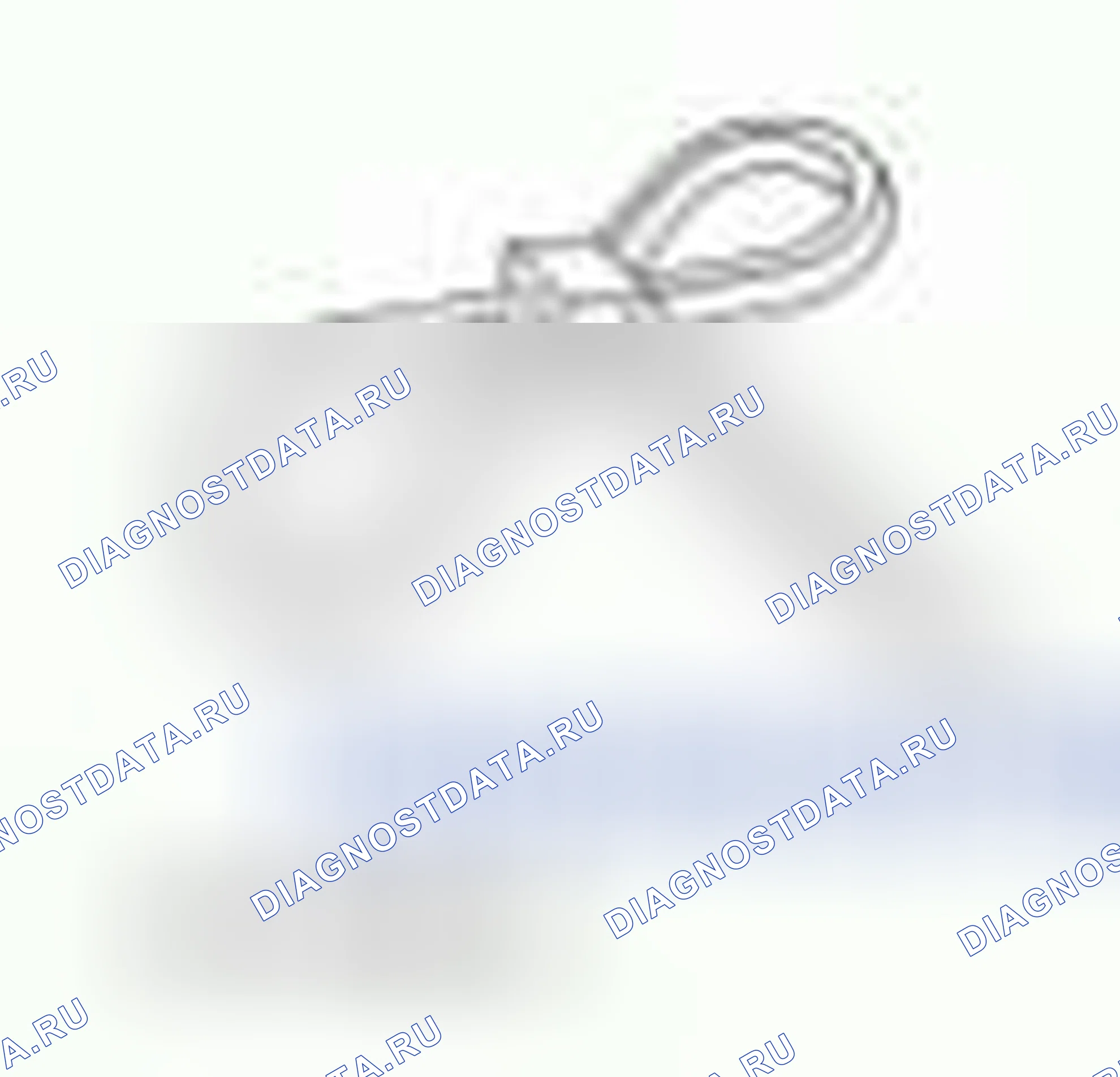 Рис. 1393. Hyundai ix55 I