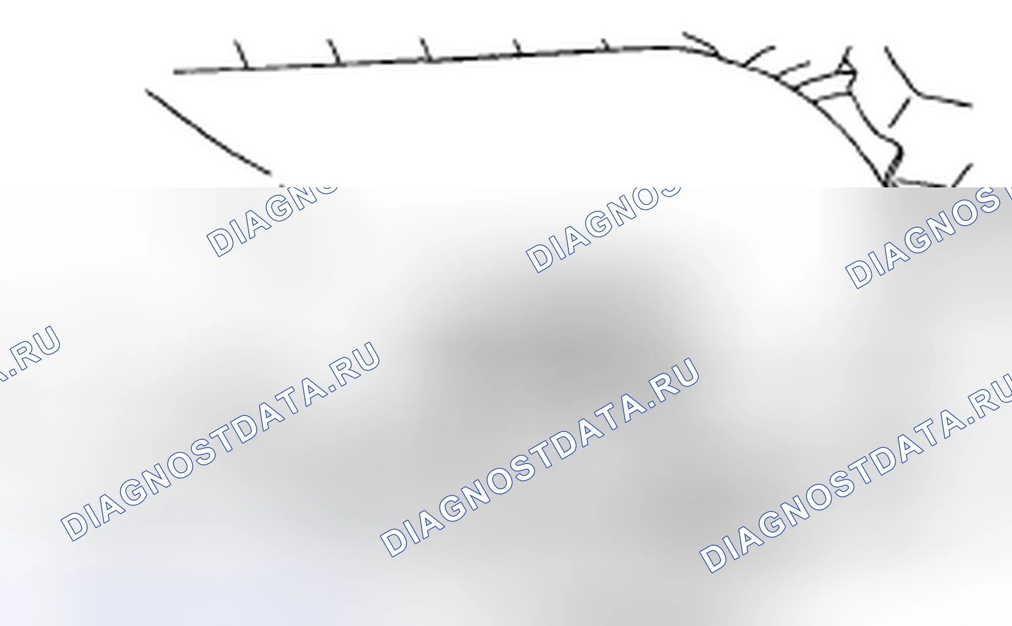 Рис. 64. Subaru Outback BP рестайлинг