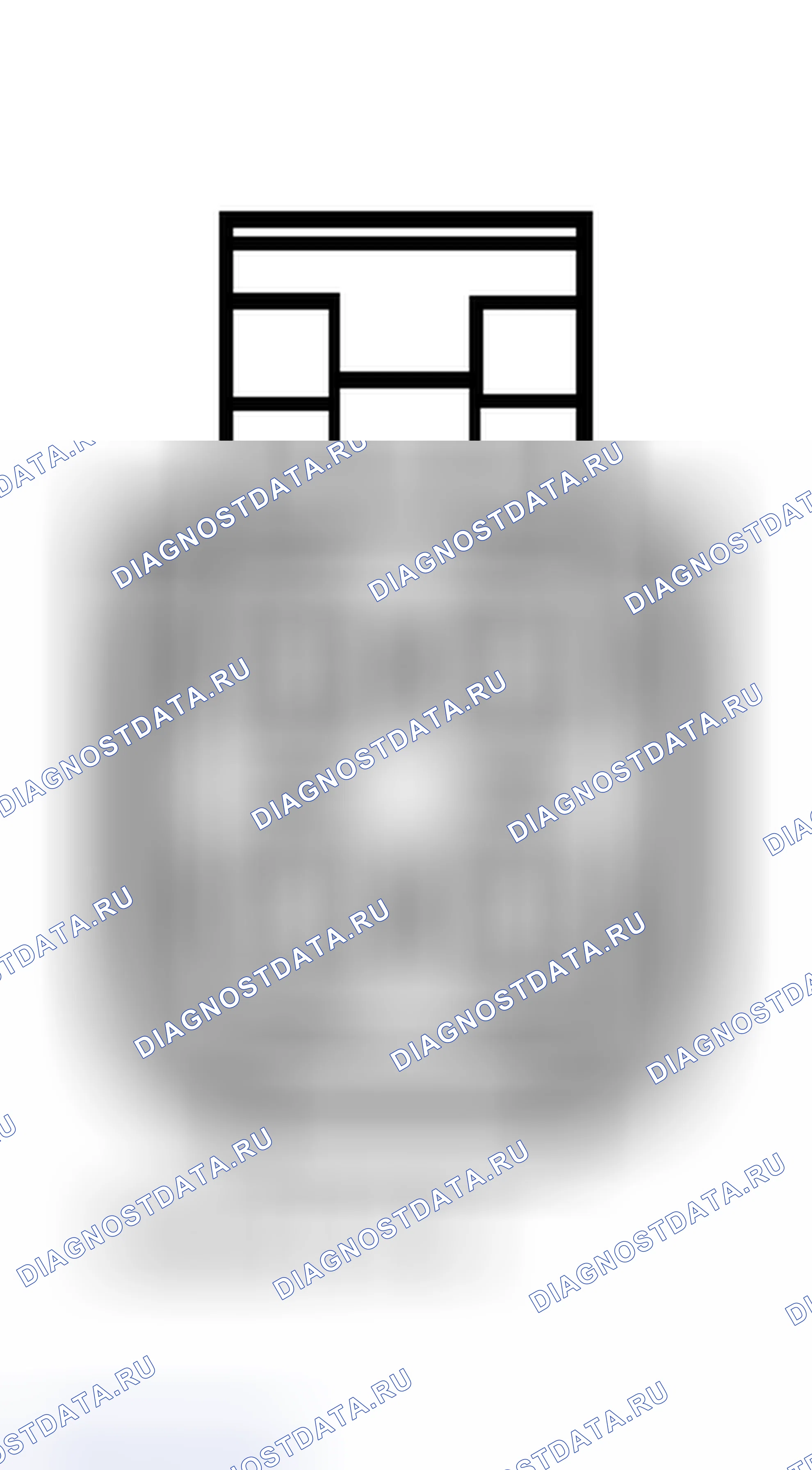 Рис. 14. Hyundai Terracan I рестайлинг