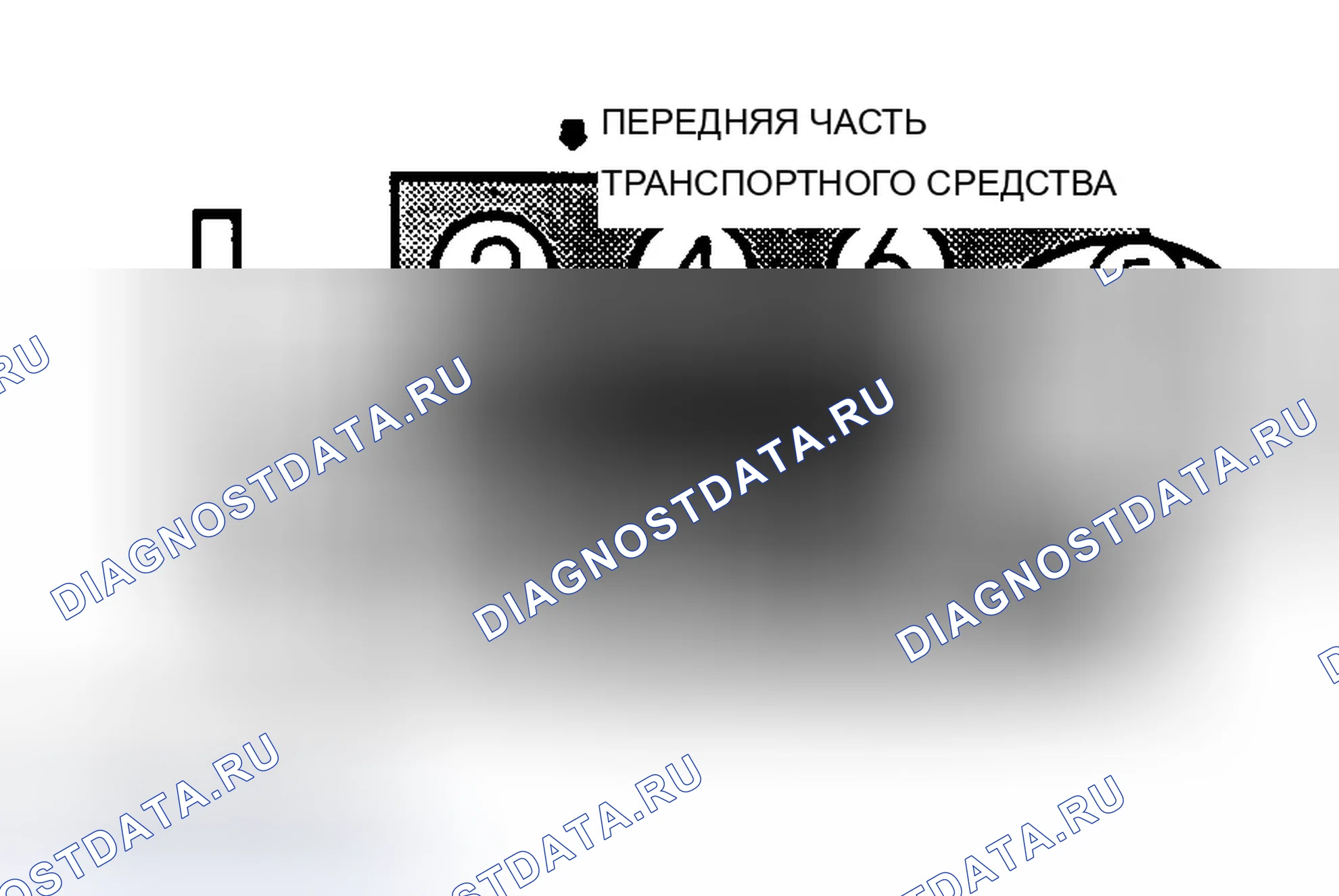 Рис. 3: порядок работы цилиндров (4.3L). Chevrolet Caprice IV