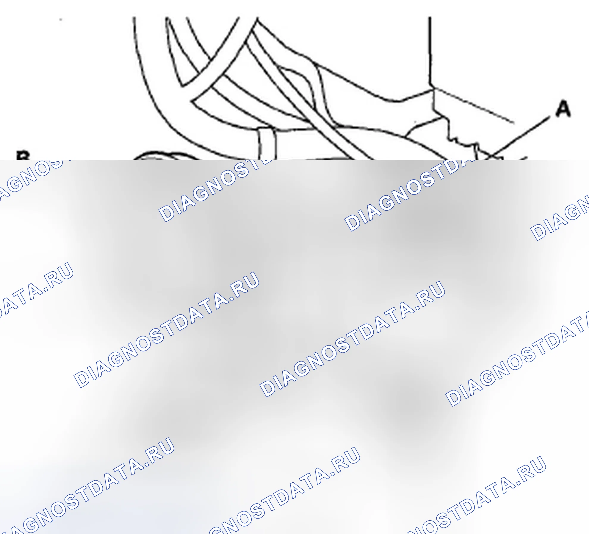 Рис. 33: С обеспечением. Honda Fit GE