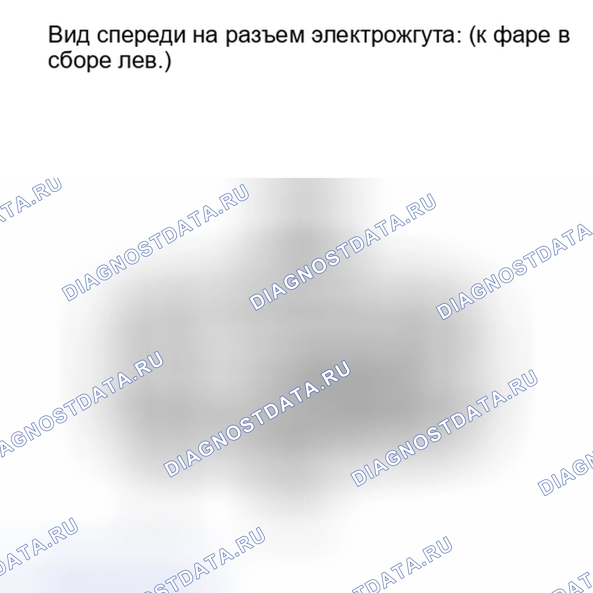 Рис. 198. Lexus IS F I