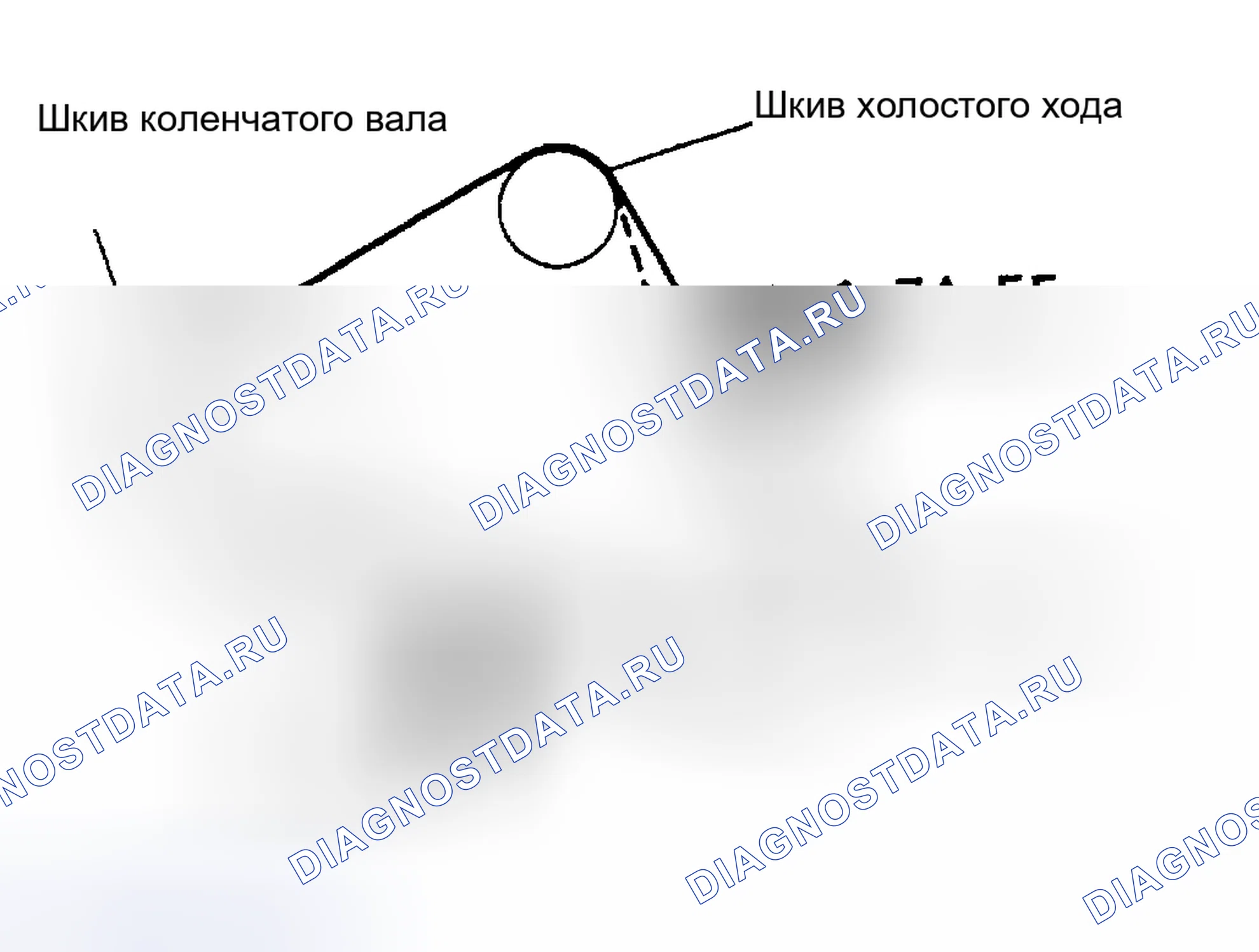Рис. 3: ПРОКЛАДКА ПРИВОДНОГО РЕМНЯ (COROLLA). Toyota Paseo L50