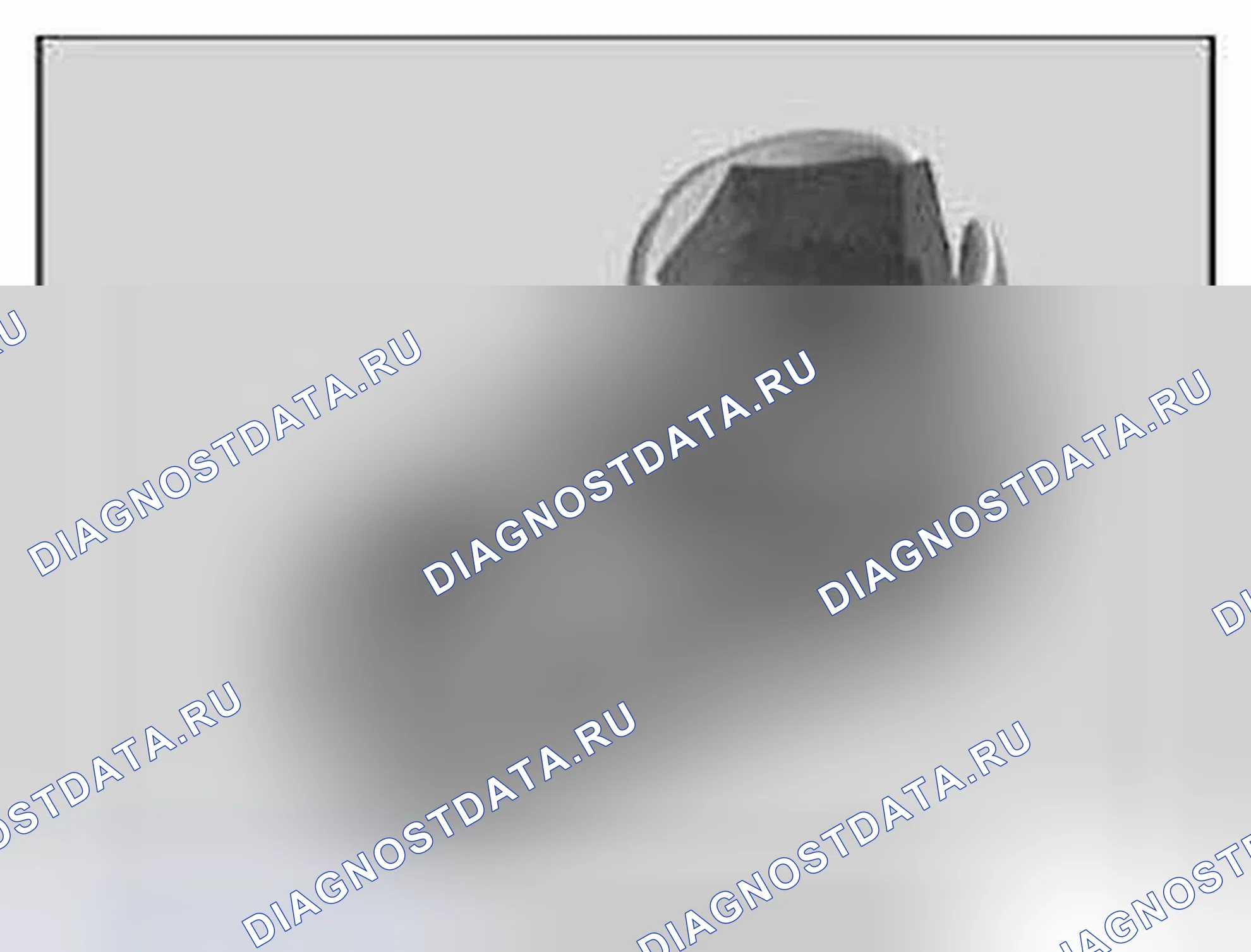 Рис. 493: Номер SI. BMW Z4 E89