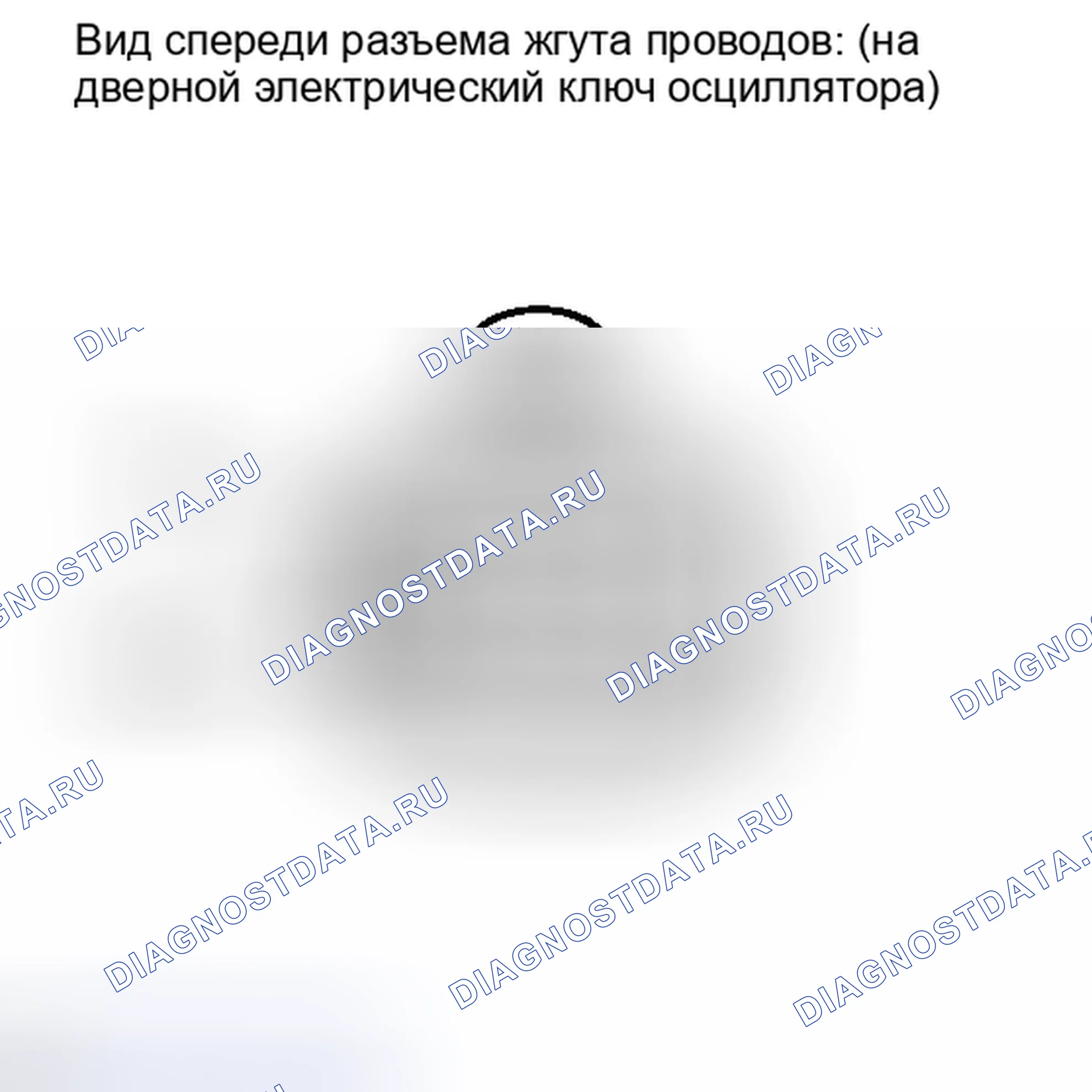 Рис. 237. Lexus IS F I