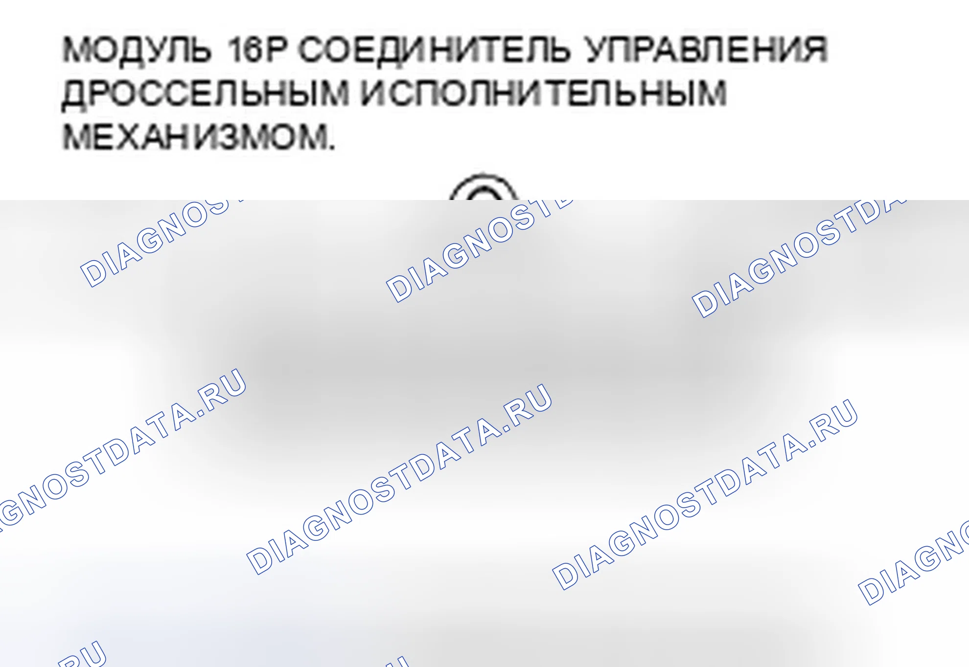 Рис. 144. Honda Element YH2 рестайлинг 2