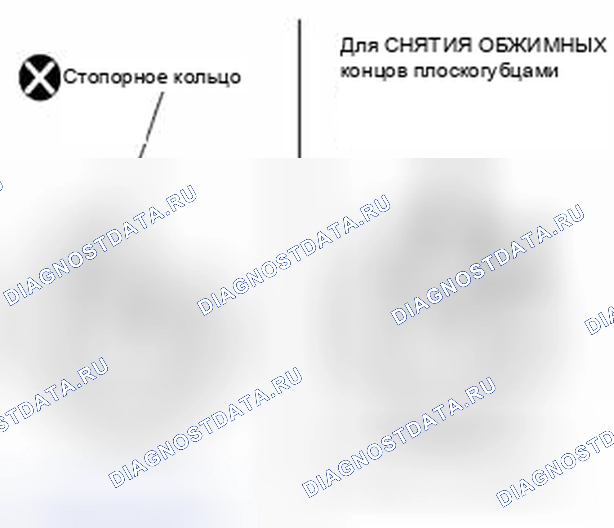 Рис. 45. Suzuki Equator I